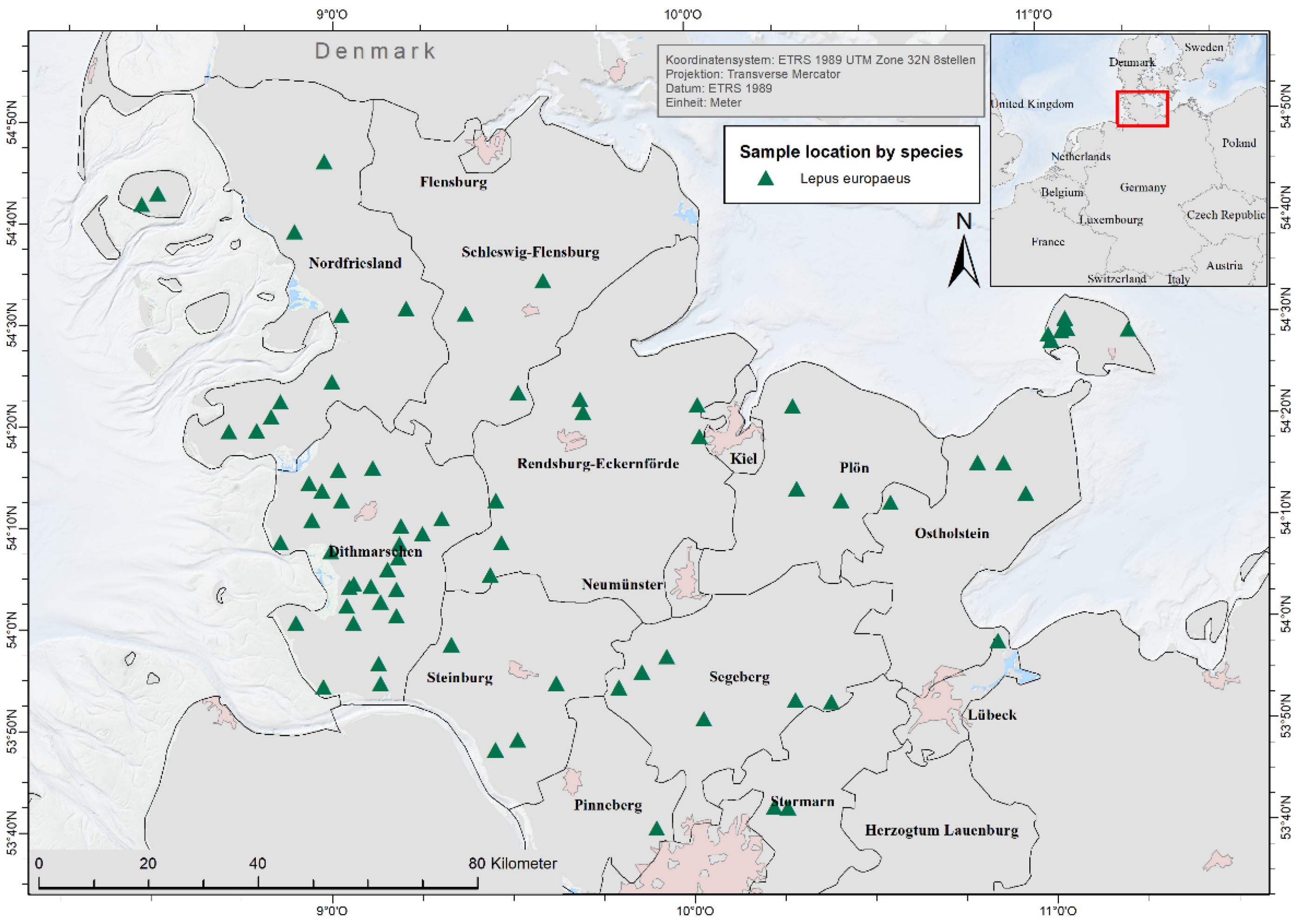 Pathogens 12 00239 g001