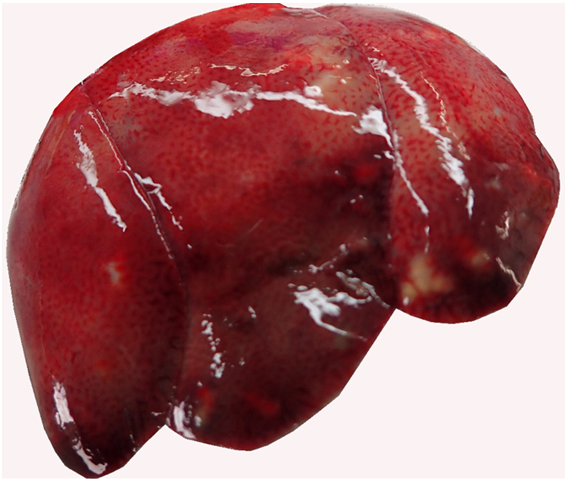 Pathogens 12 00239 g003