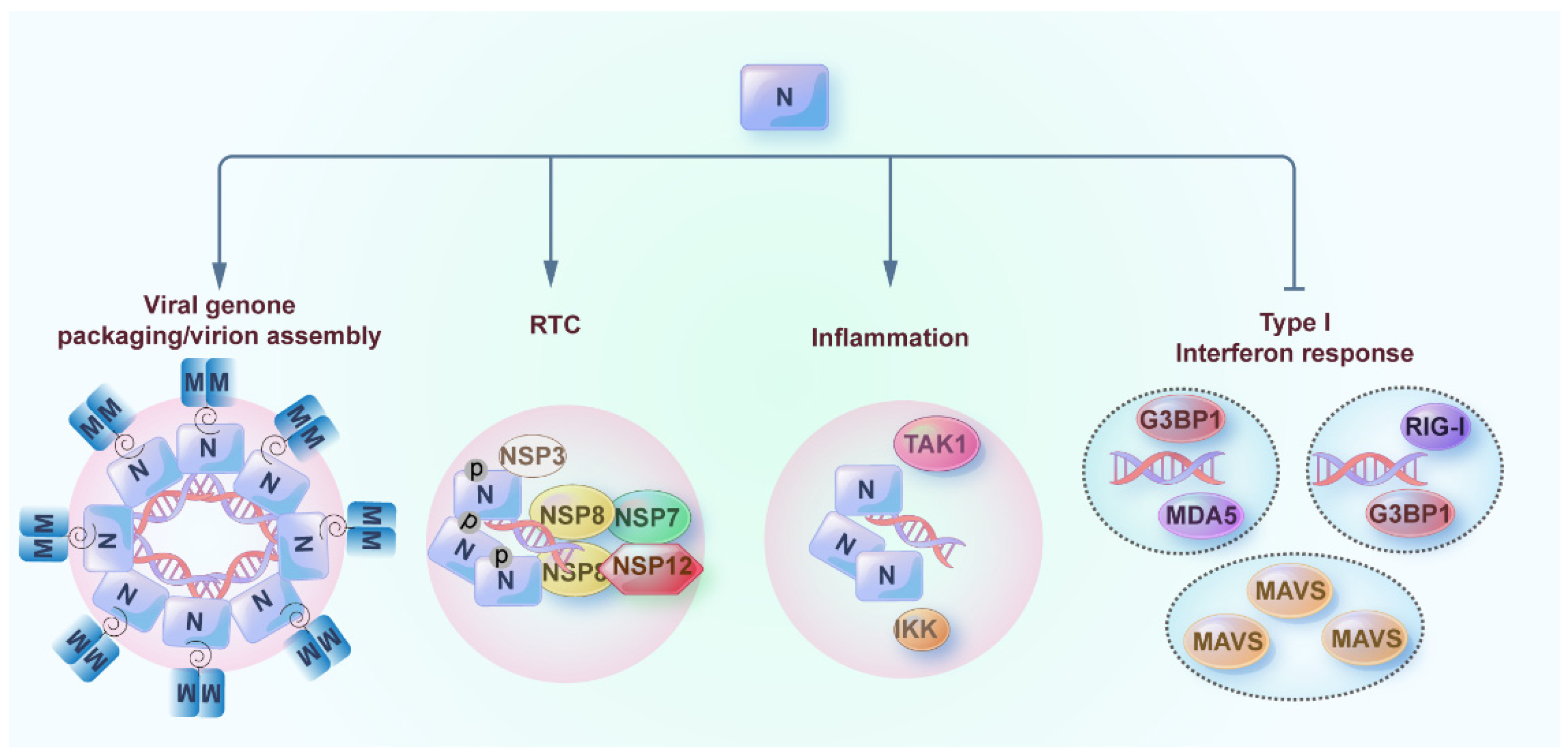 Pathogens 12 00243 g003