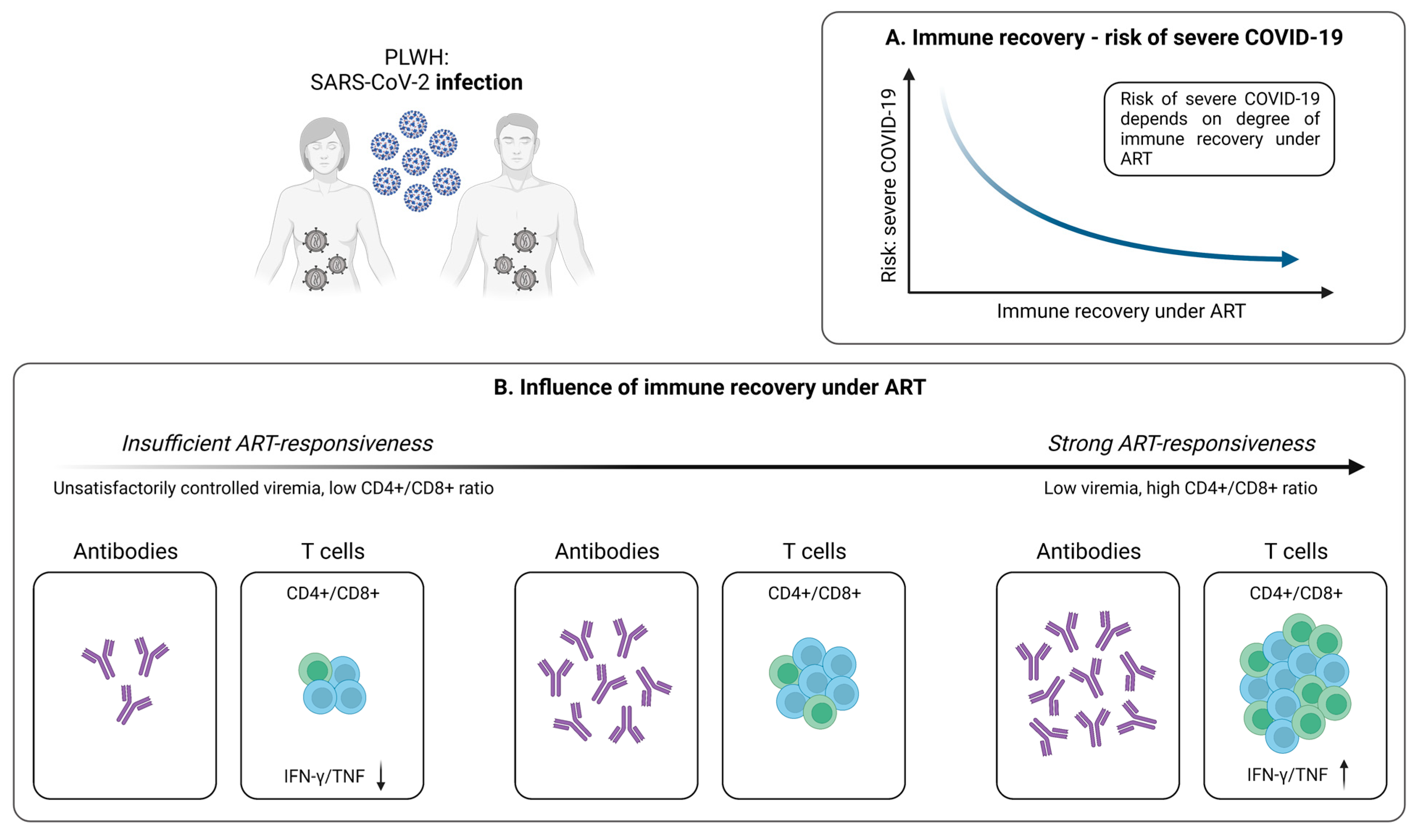 Pathogens 12 00244 g003
