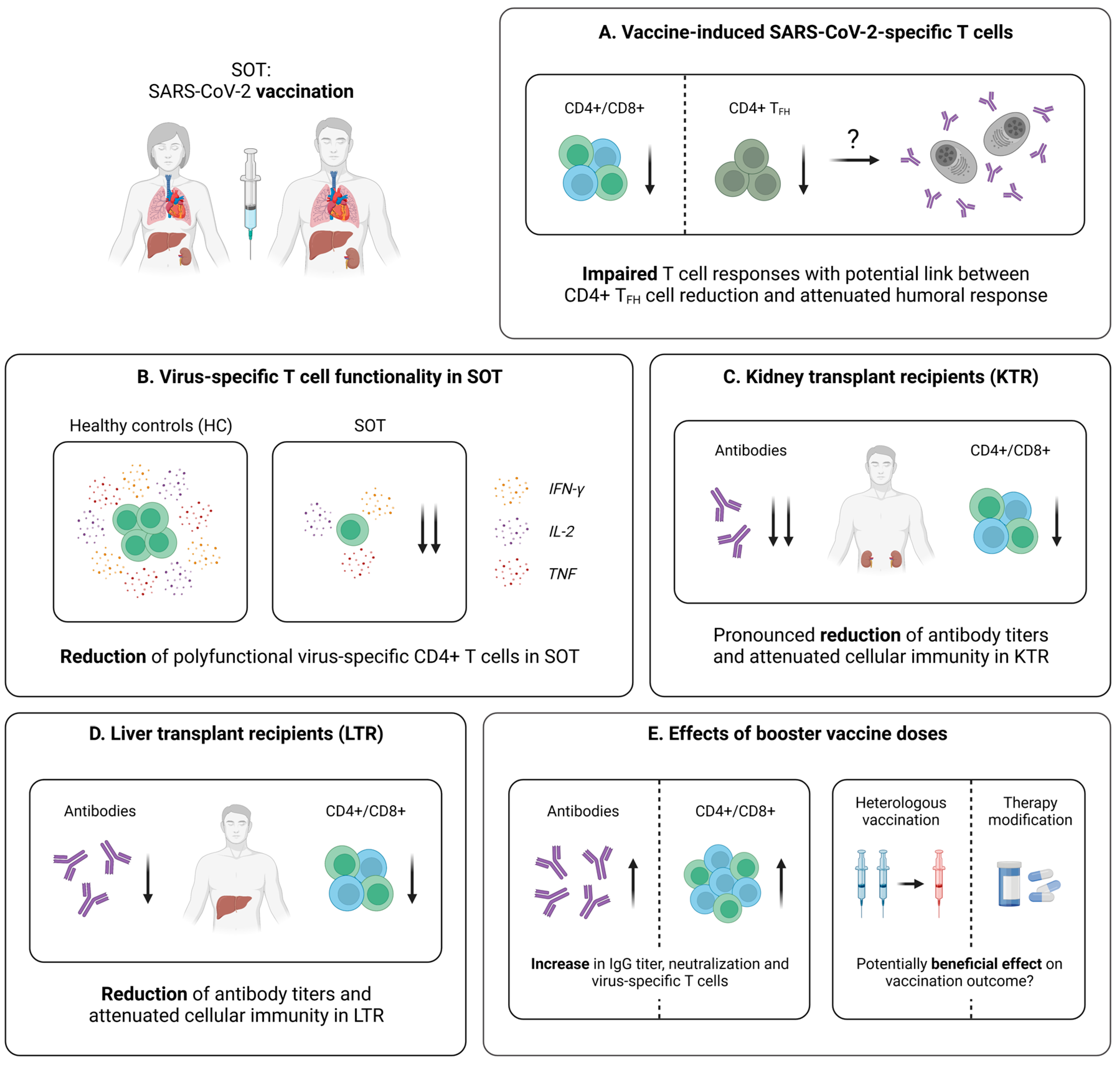 Pathogens 12 00244 g006