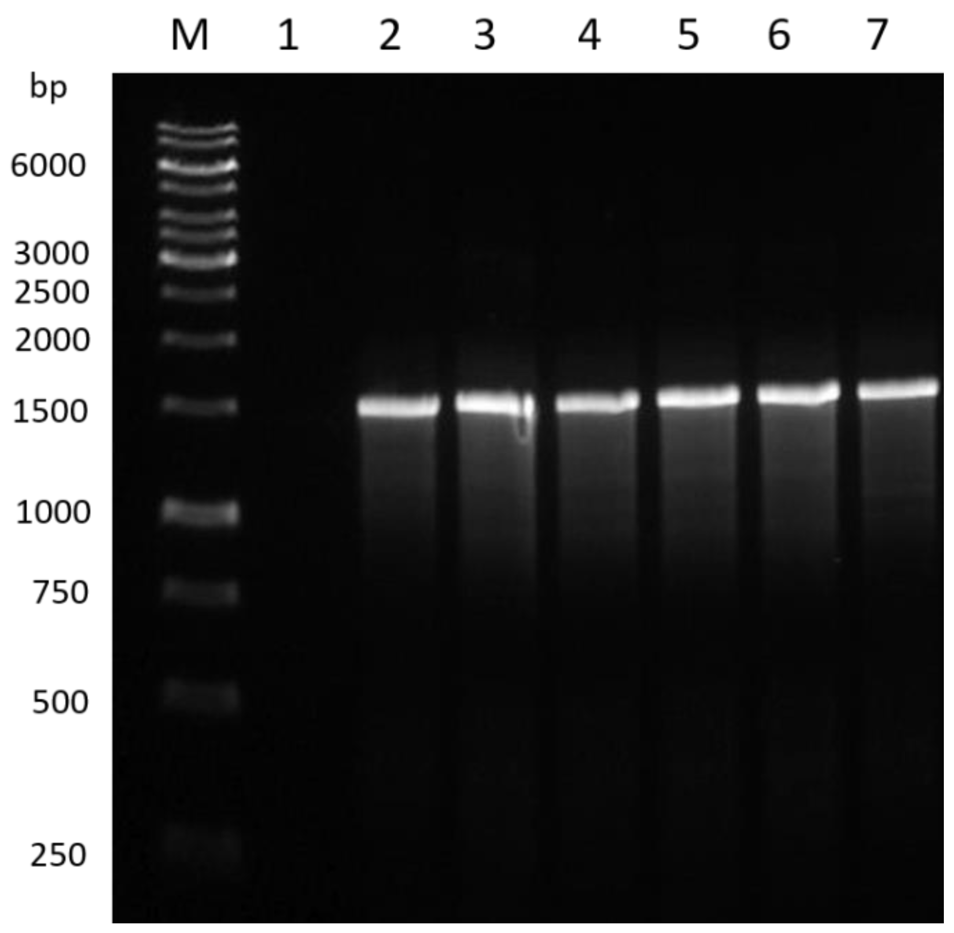 Pathogens 12 00254 g001 Pathogens 12 00254 g001