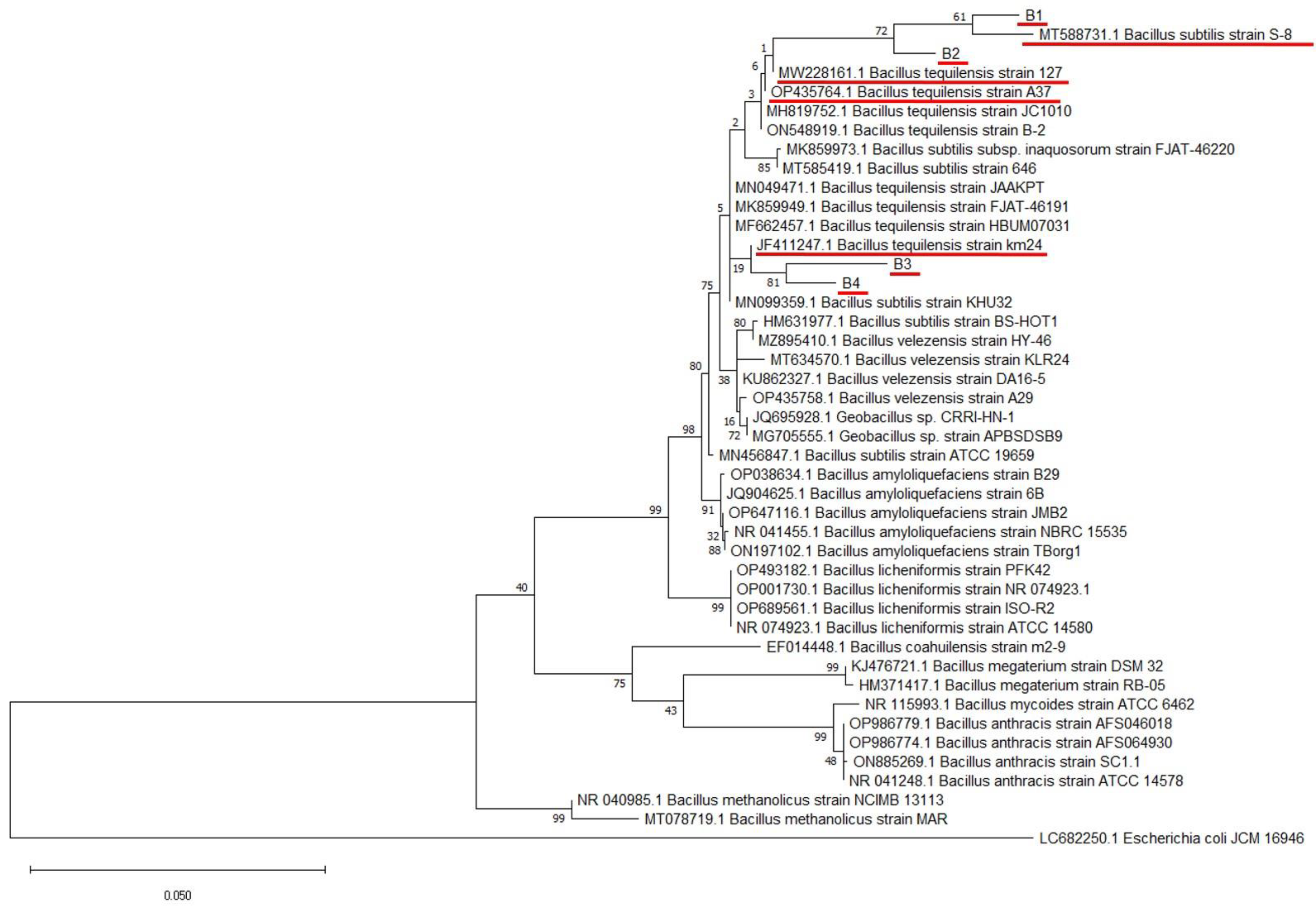 Pathogens 12 00254 g002 Pathogens 12 00254 g002