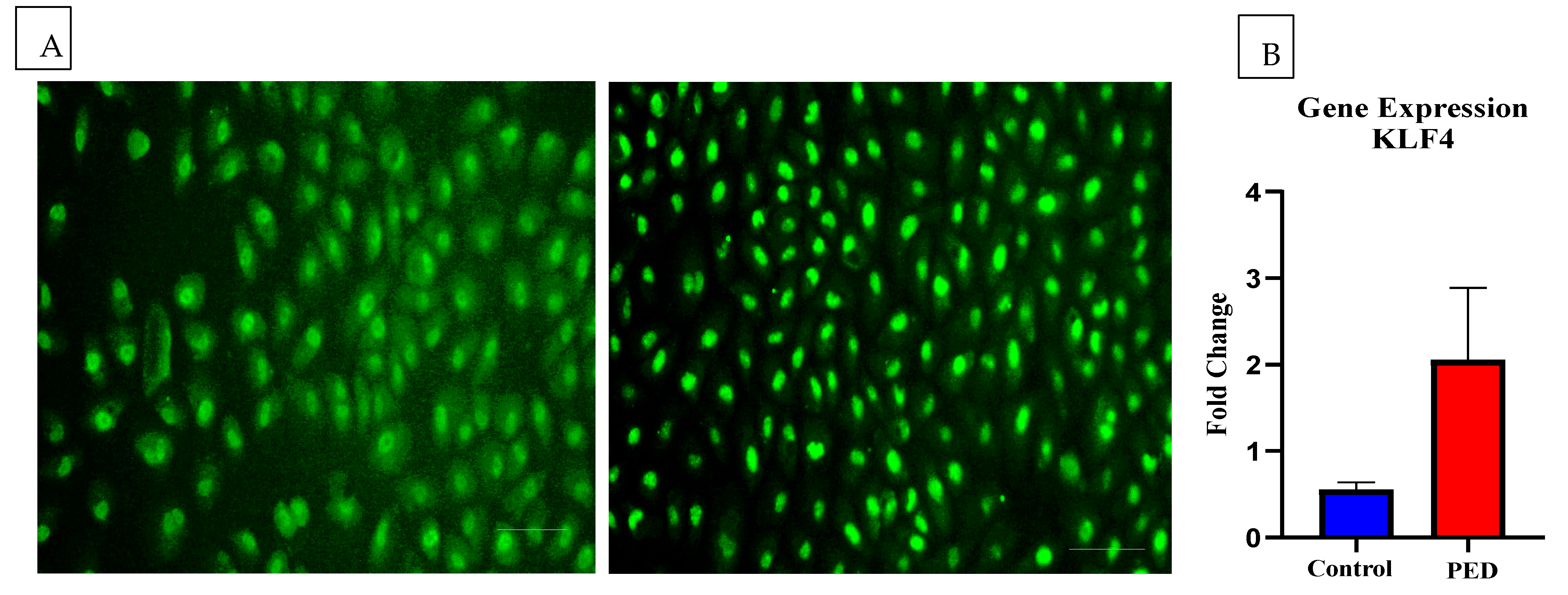 Pathogens 12 00261 g005