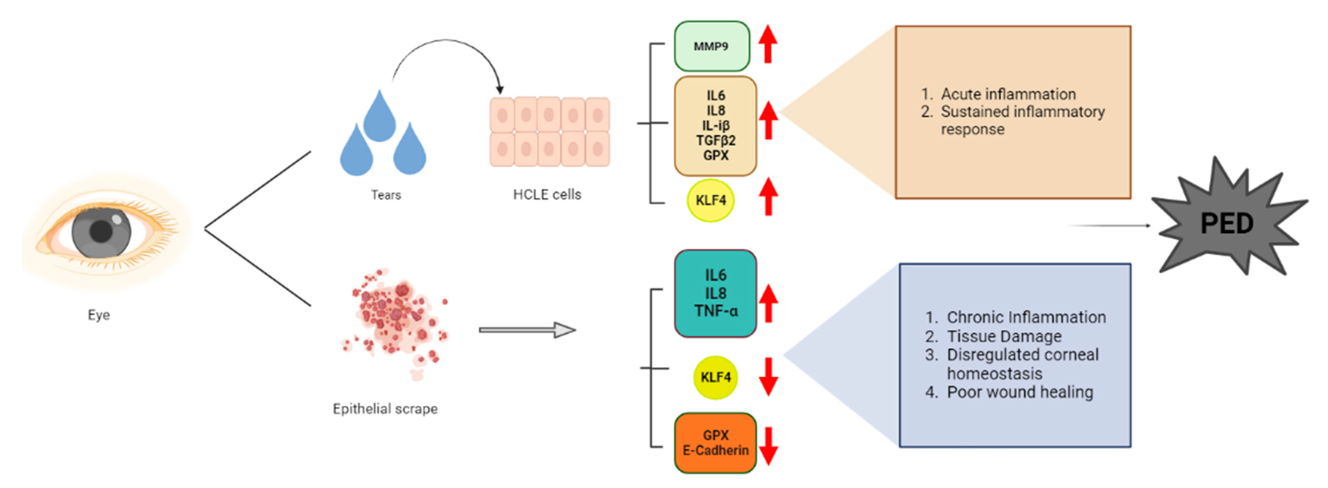 Pathogens 12 00261 g008