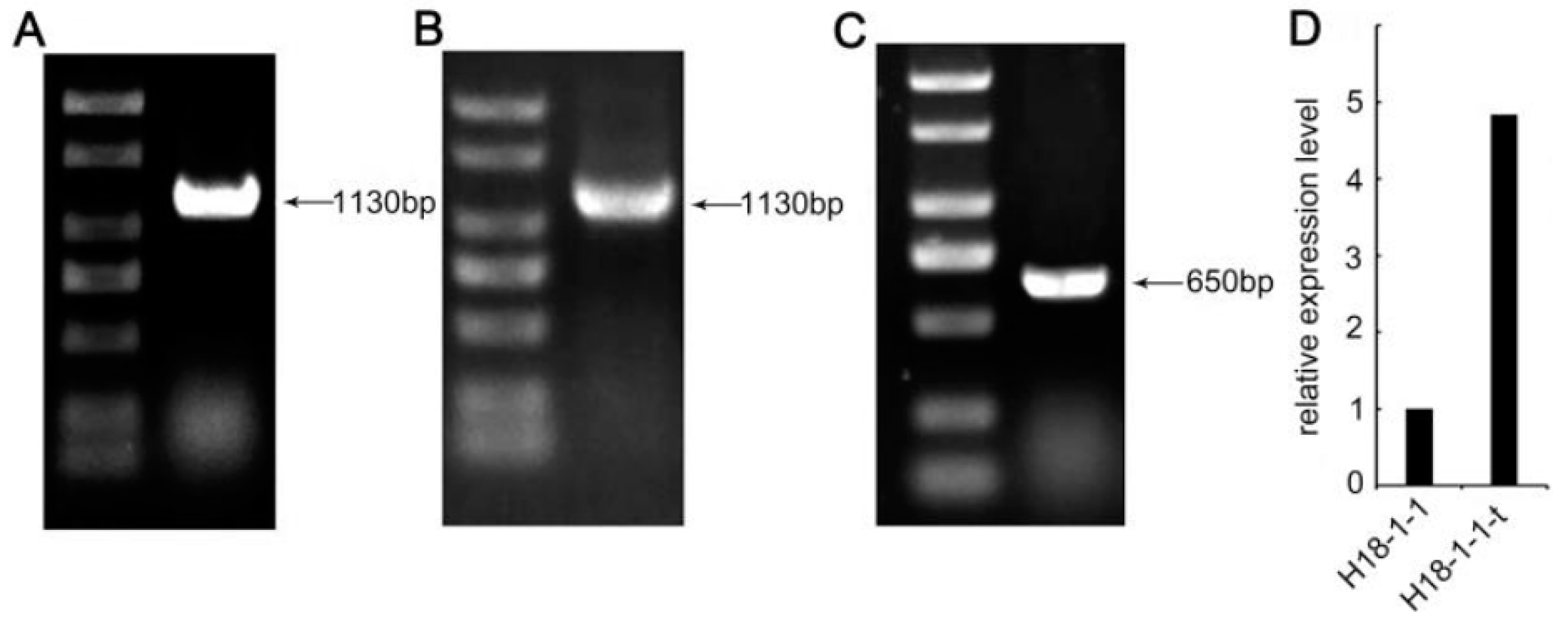 Pathogens 12 00264 g002