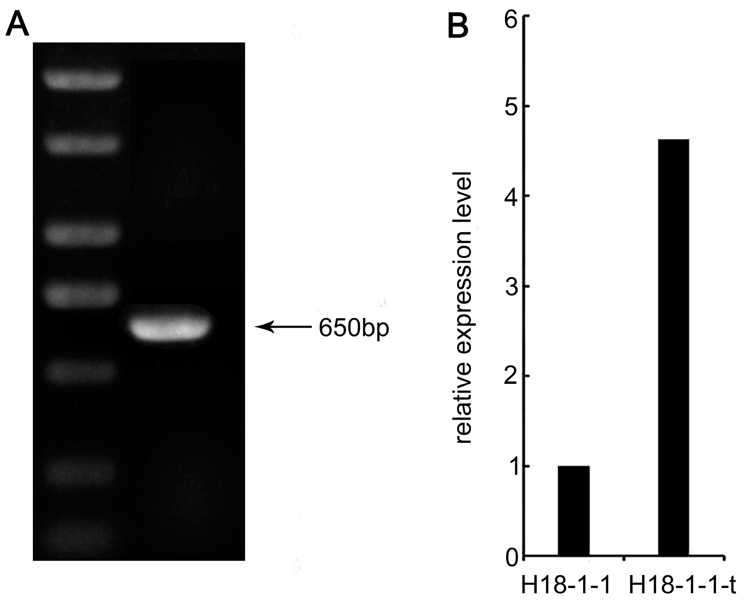 Pathogens 12 00264 g003