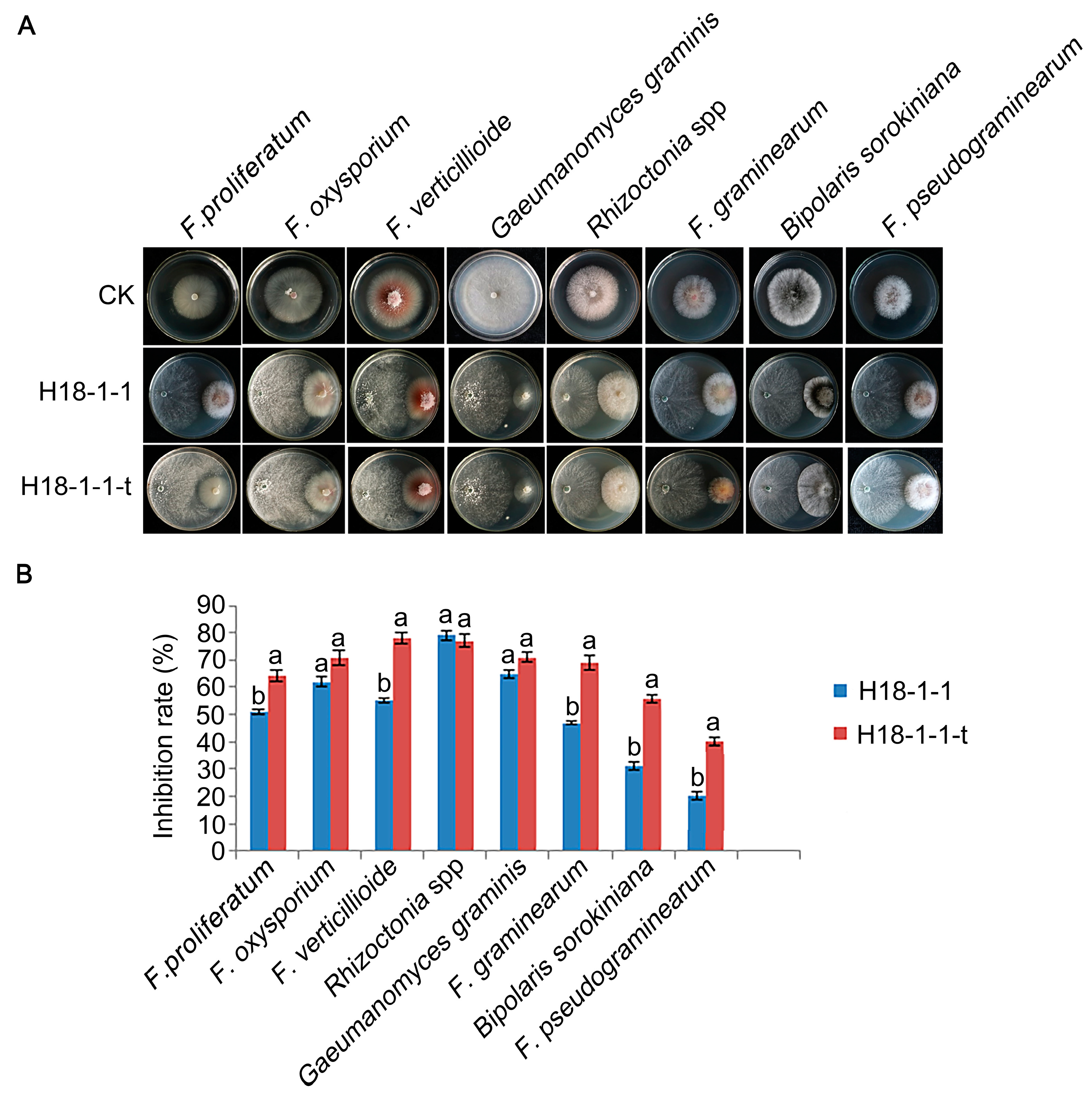 Pathogens 12 00264 g005