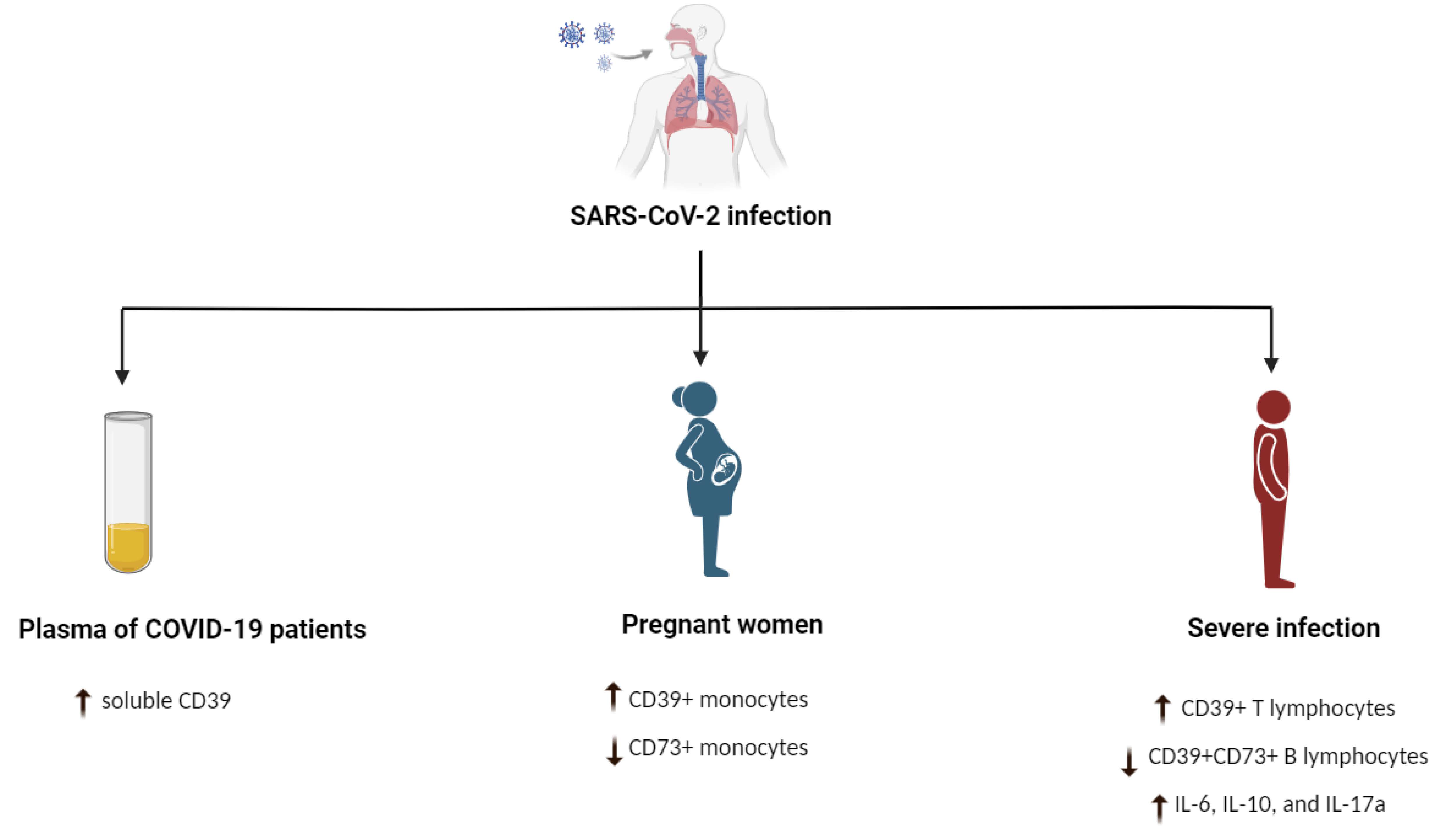 Pathogens 12 00279 g001