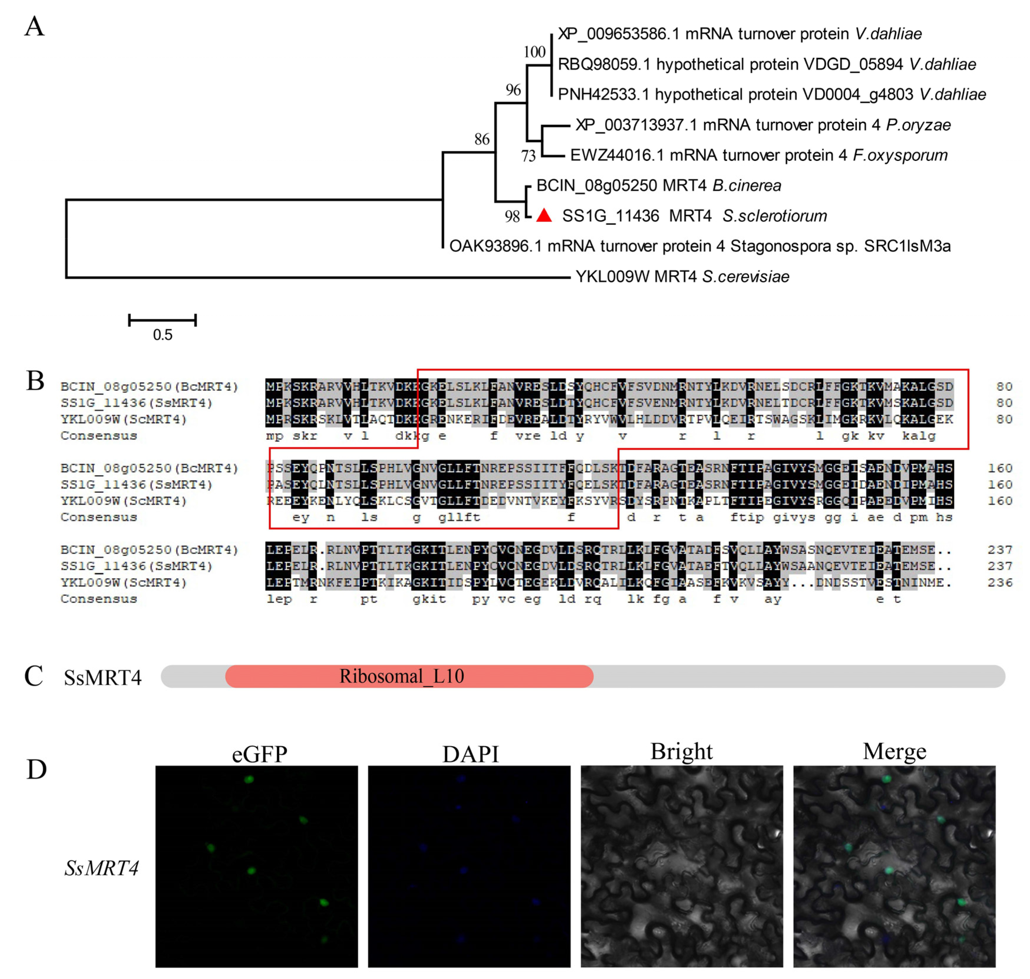 Pathogens 12 00281 g001