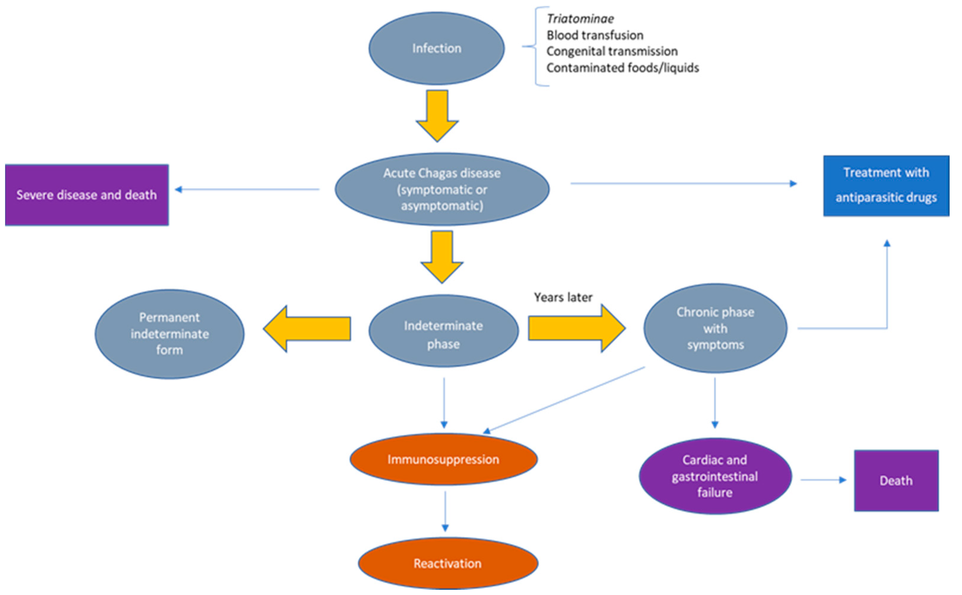 Pathogens 12 00282 g001