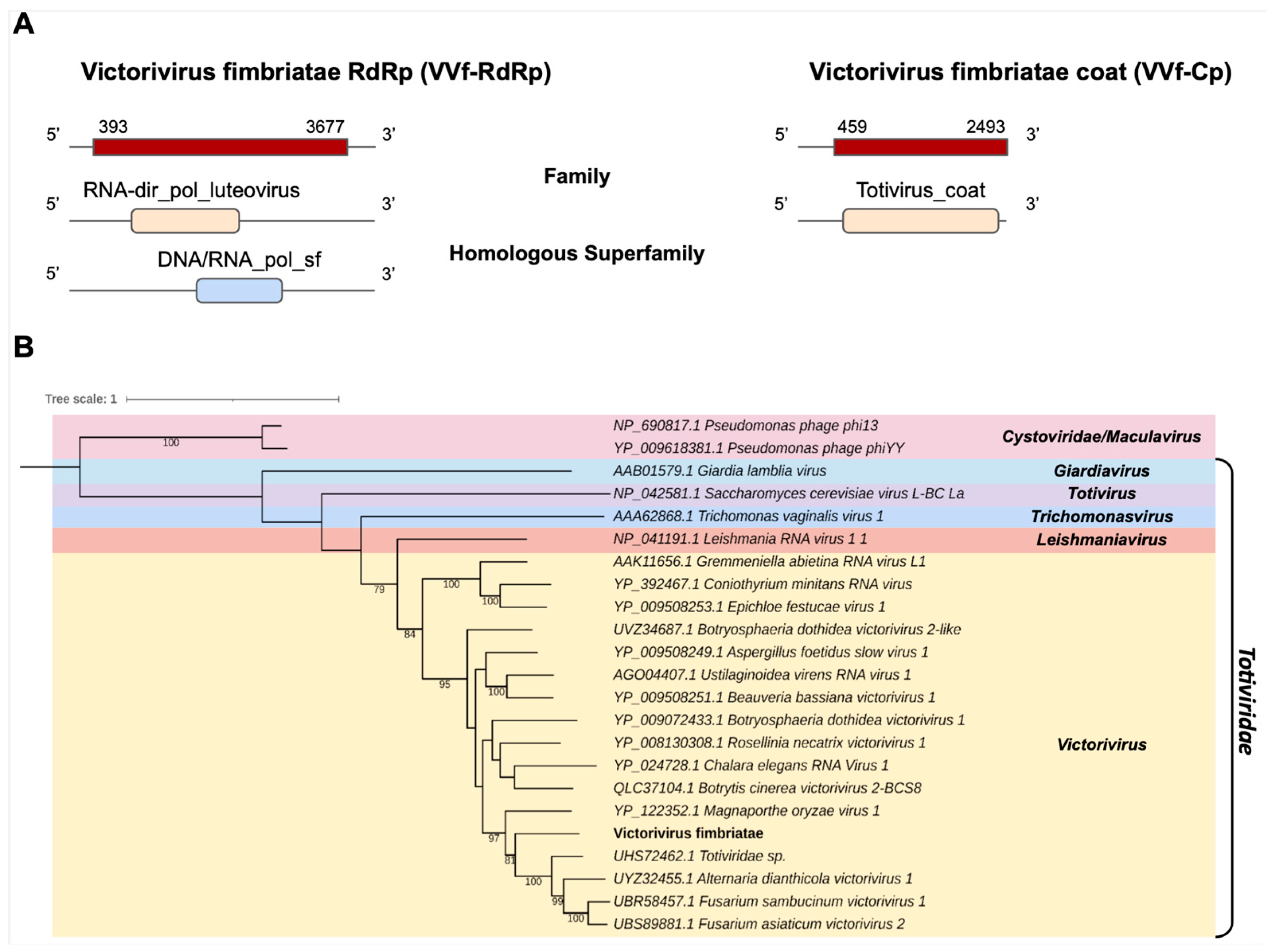 Pathogens 12 00287 g007