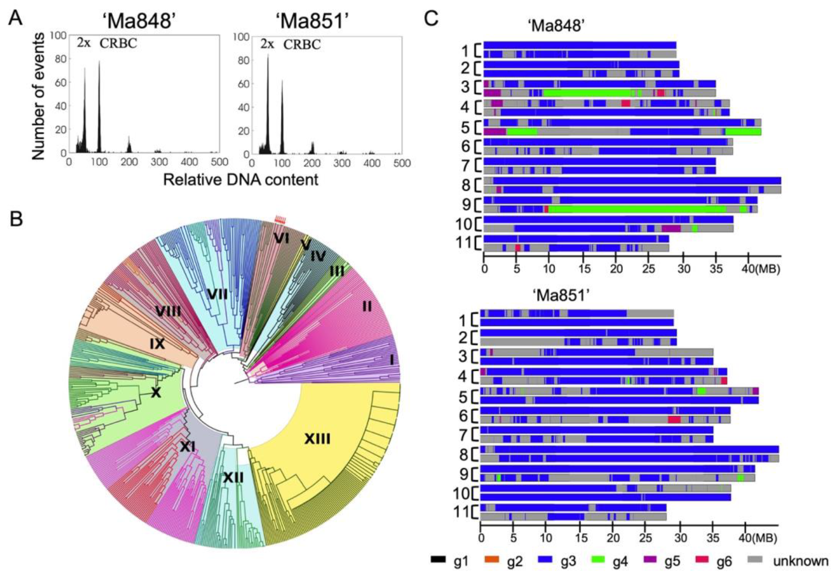 Pathogens 12 00289 g001