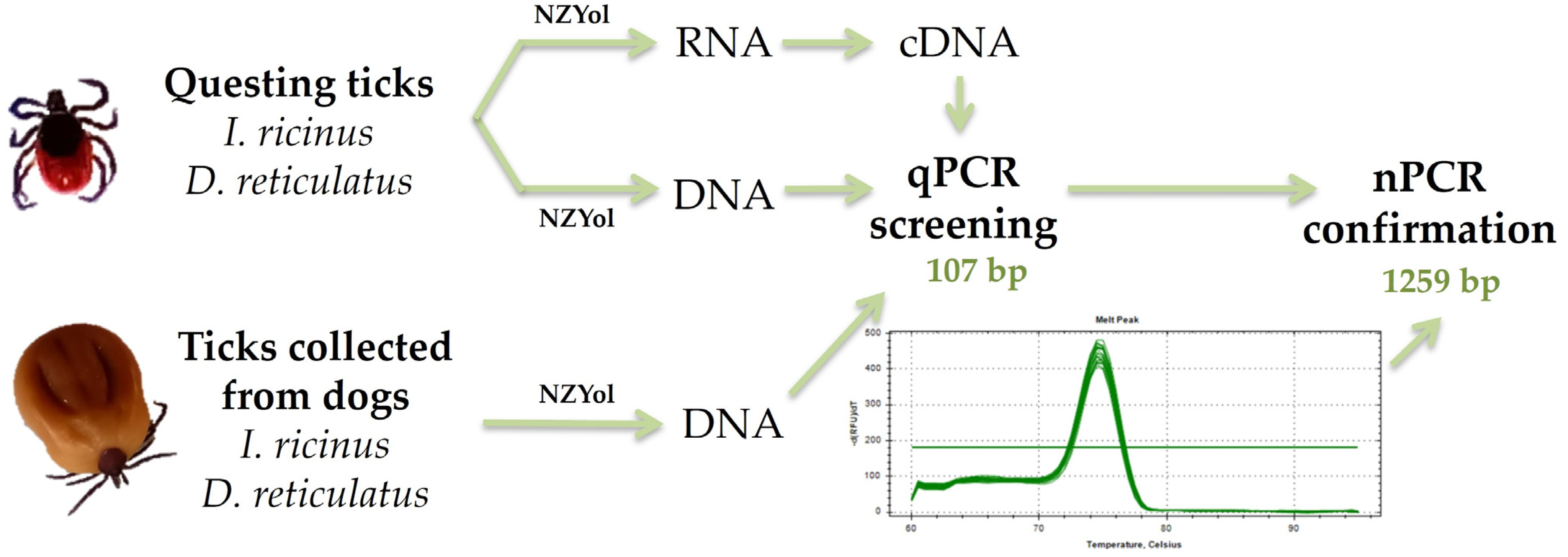 Pathogens 12 00307 g001