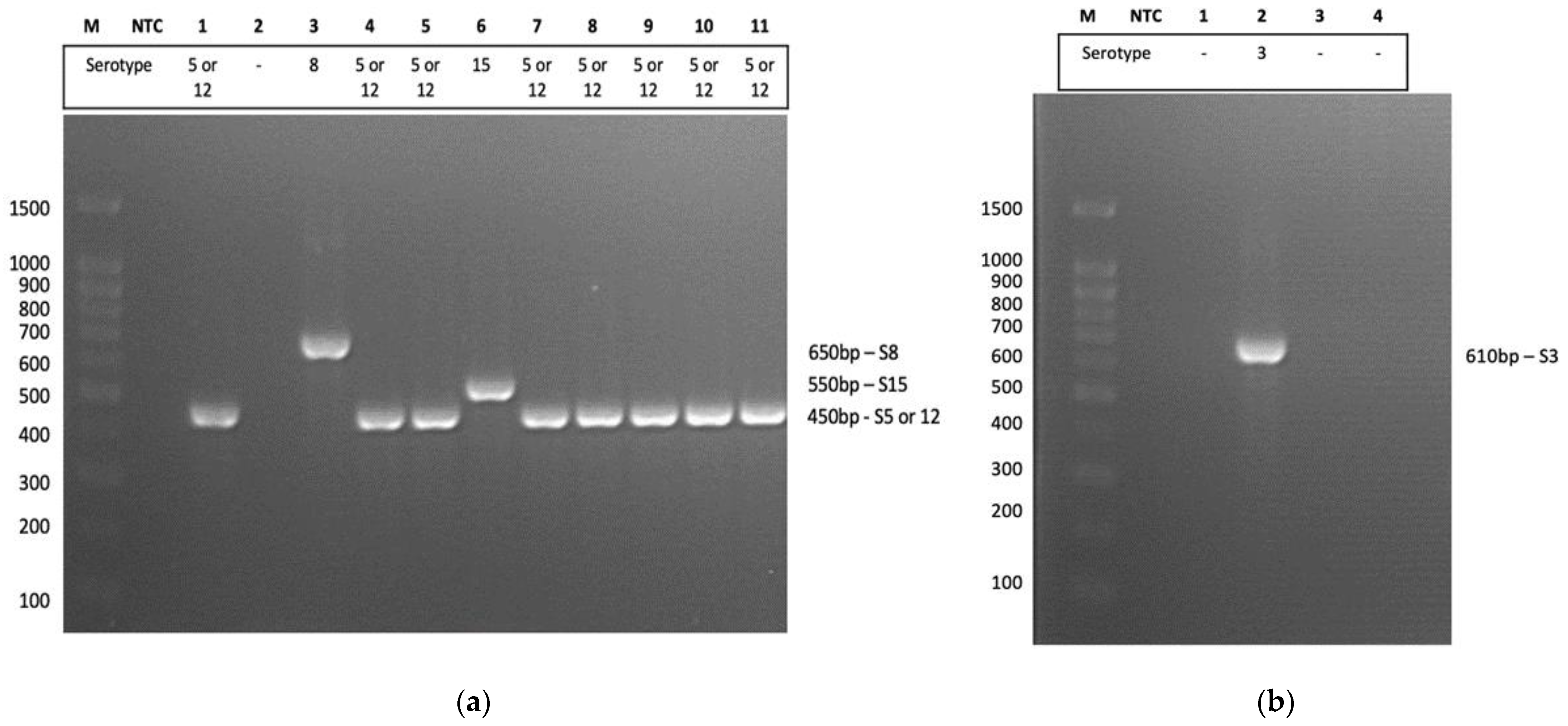 Pathogens 12 00308 g001