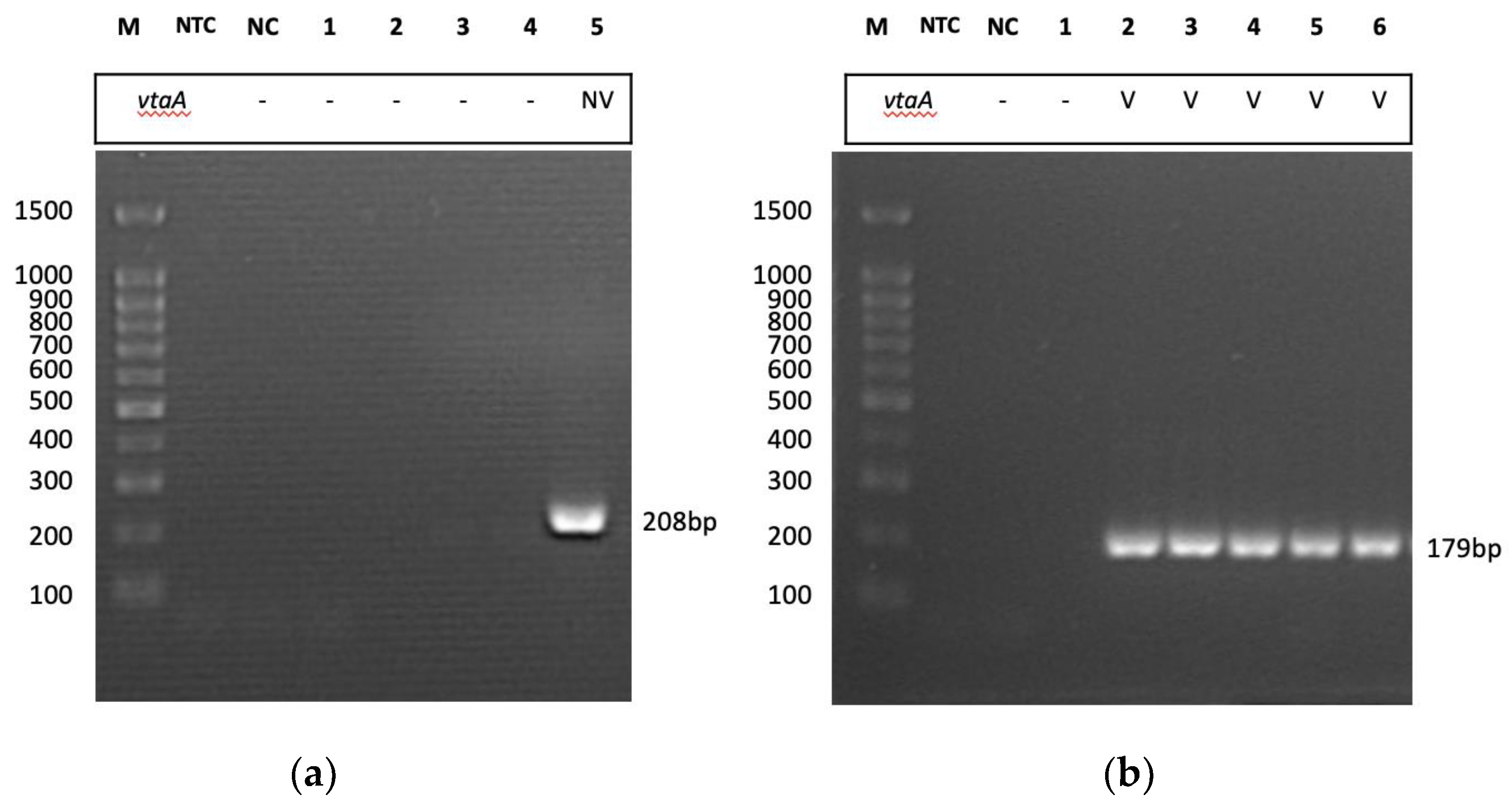 Pathogens 12 00308 g002
