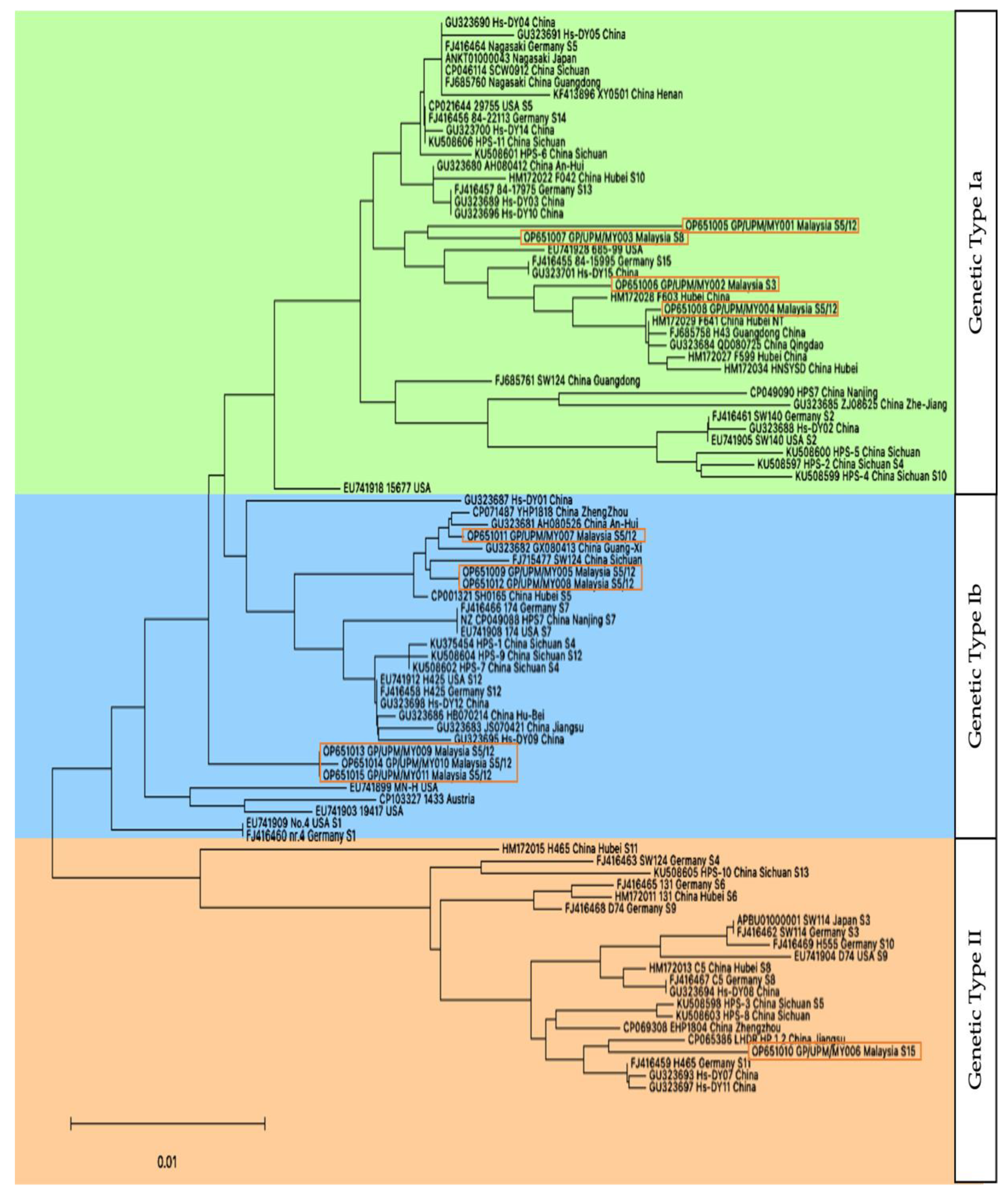 Pathogens 12 00308 g004
