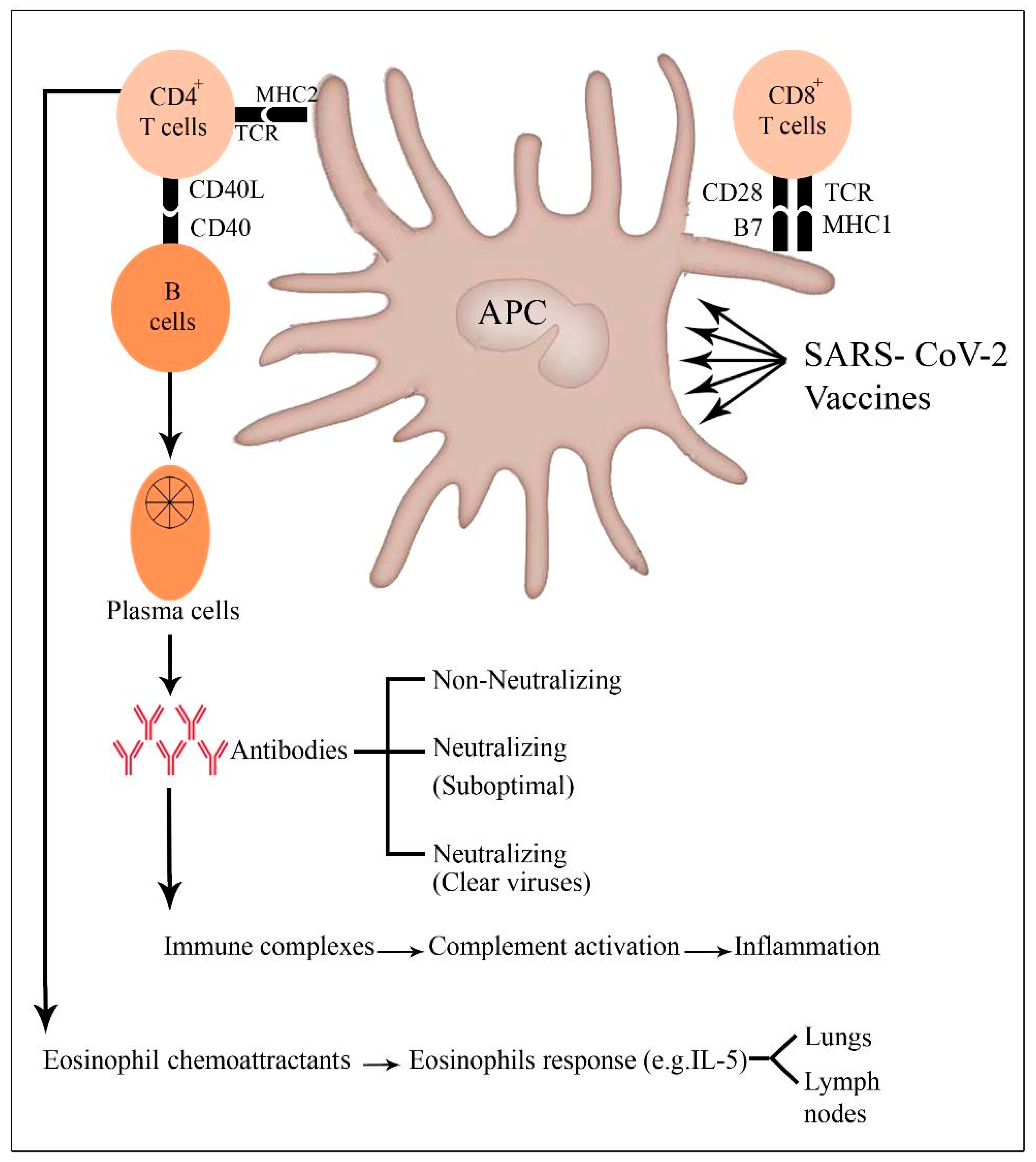 Pathogens 12 00329 g004 Pathogens 12 00329 g004