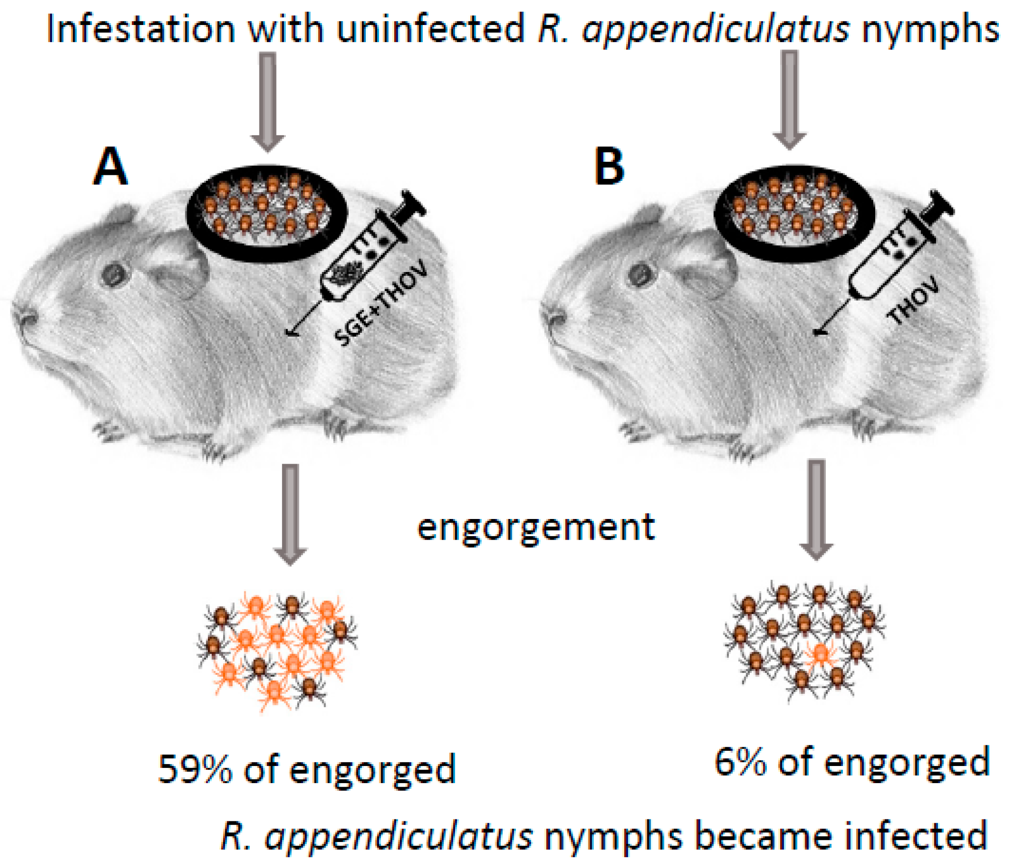 Pathogens 12 00334 g001