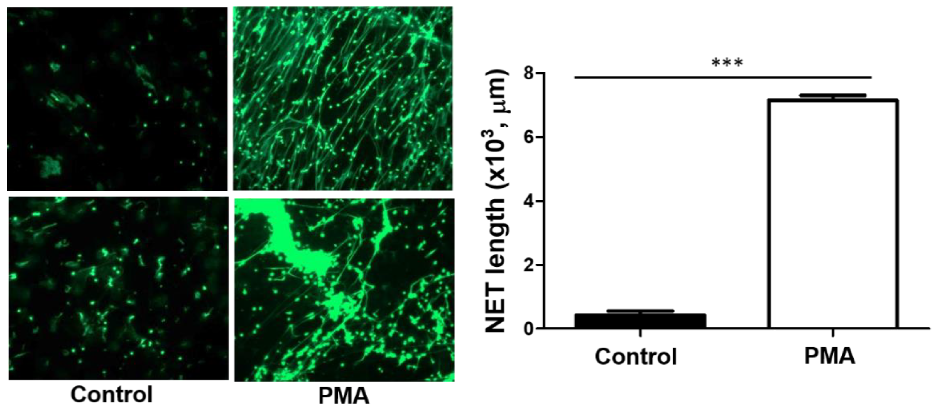 Pathogens 12 00341 g003