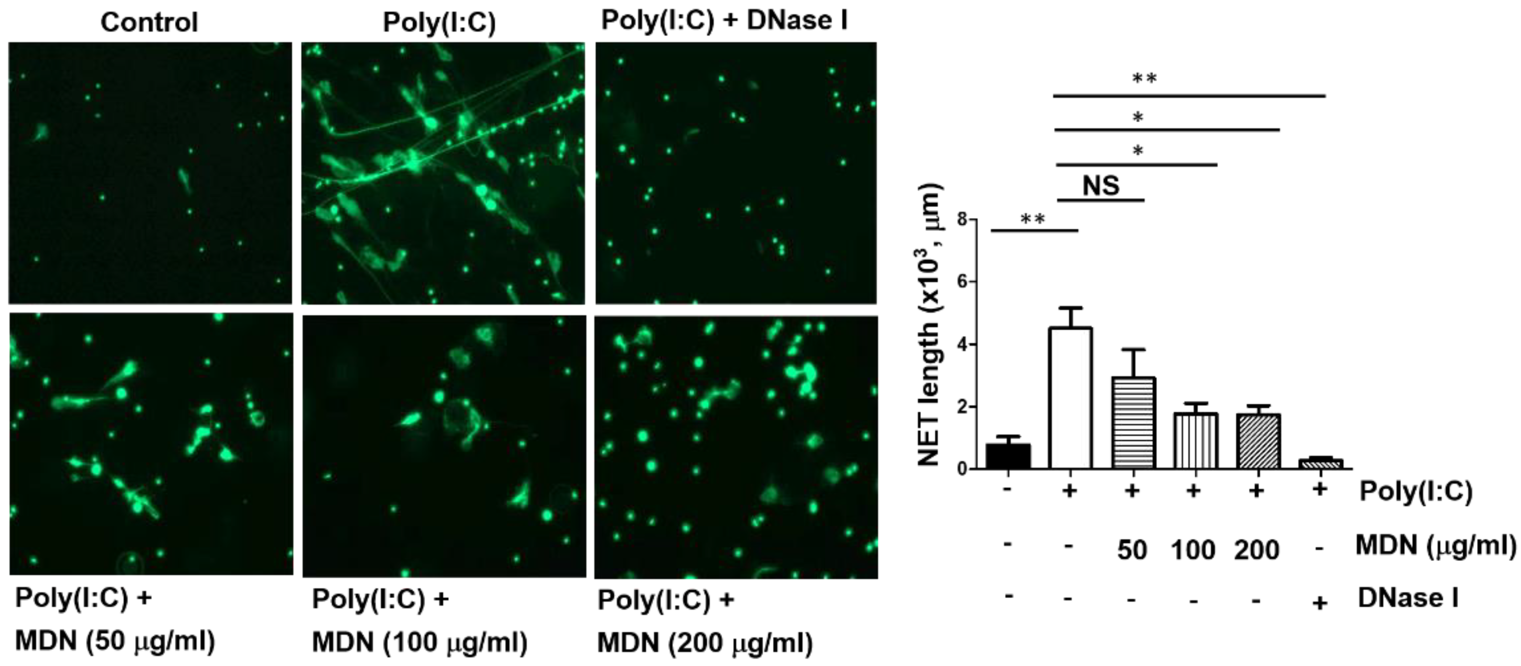 Pathogens 12 00341 g005