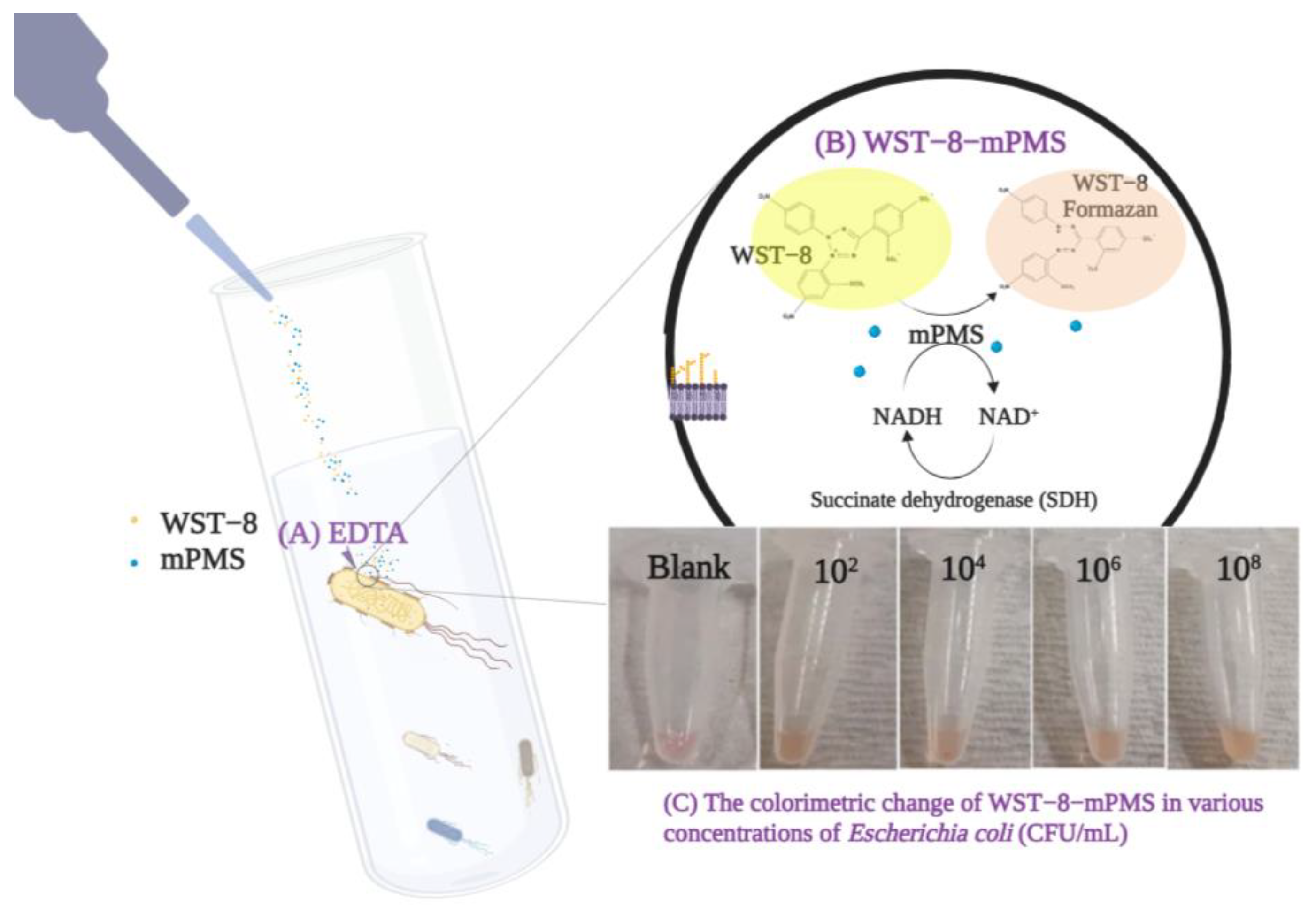 Pathogens 12 00343 g001