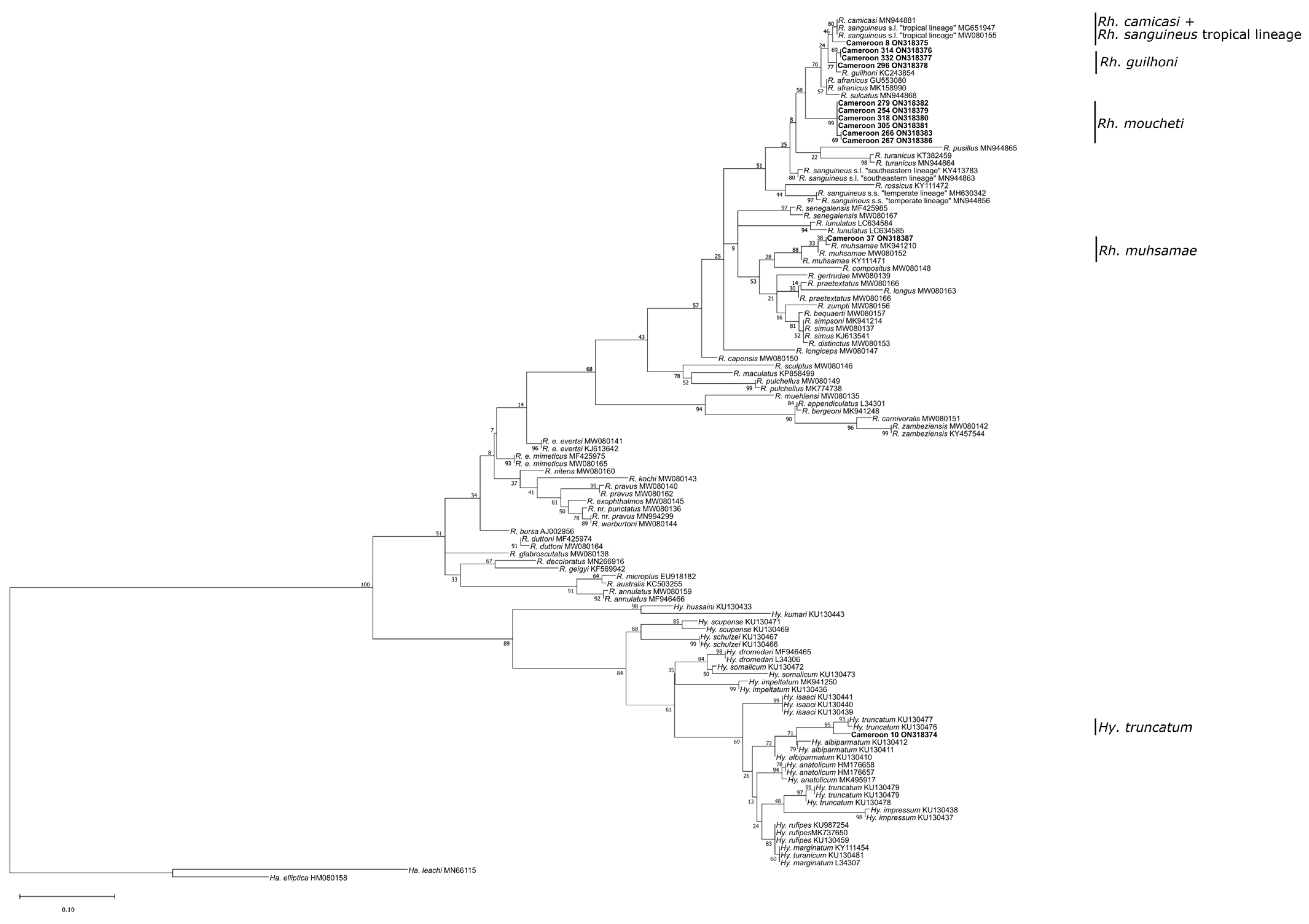 Pathogens 12 00348 g003