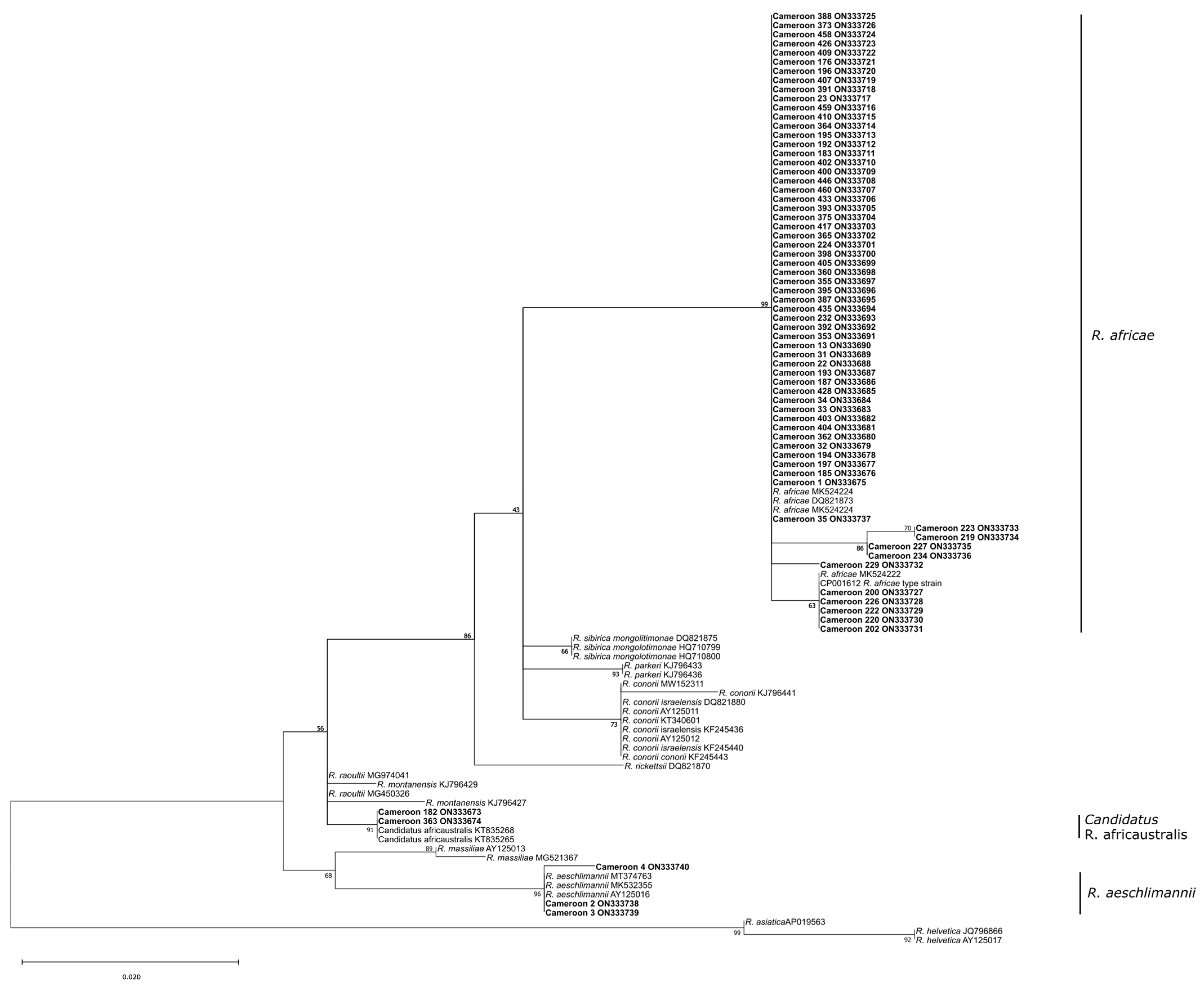 Pathogens 12 00348 g004