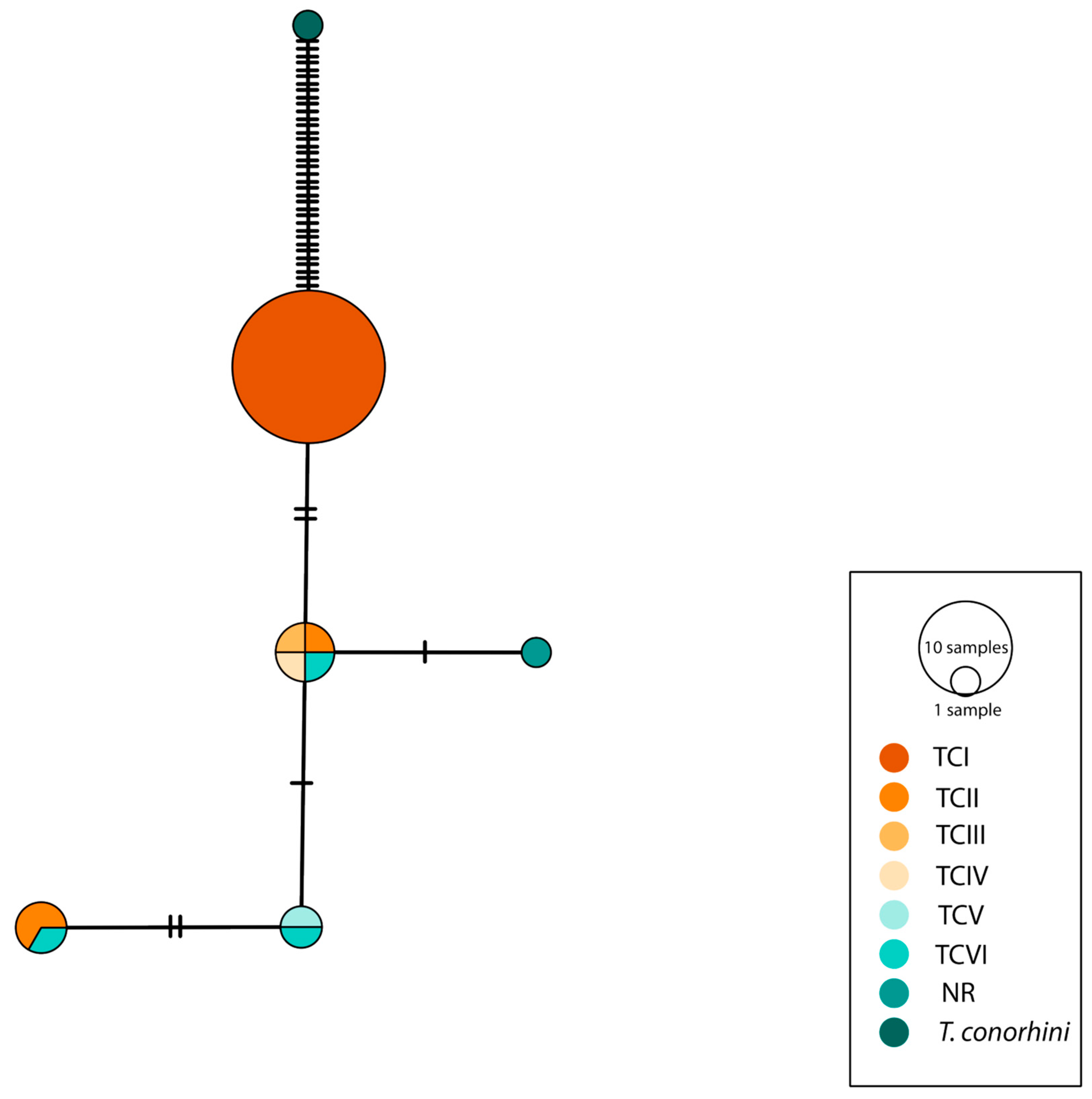 Pathogens 12 00368 g003