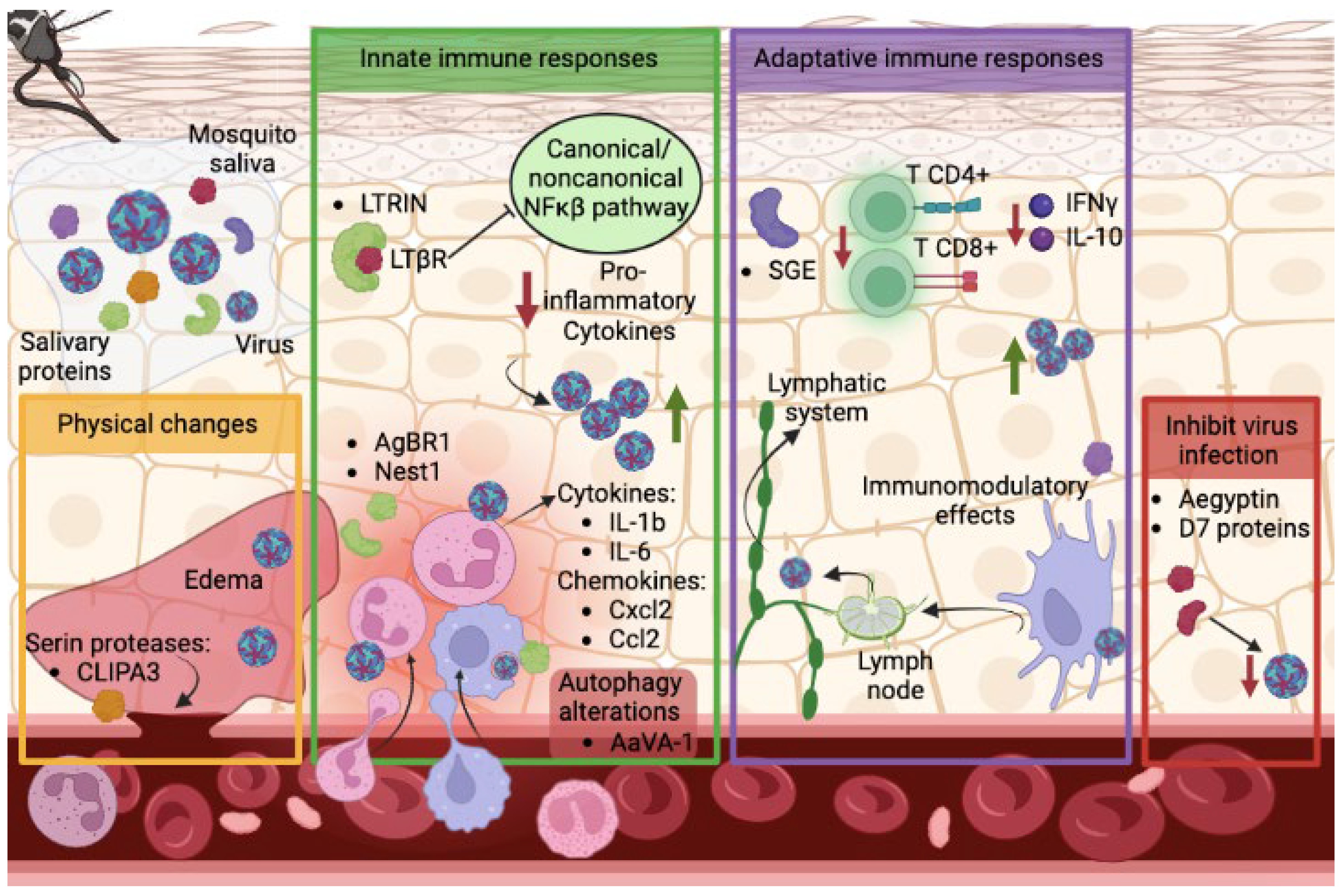 Pathogens 12 00371 g002