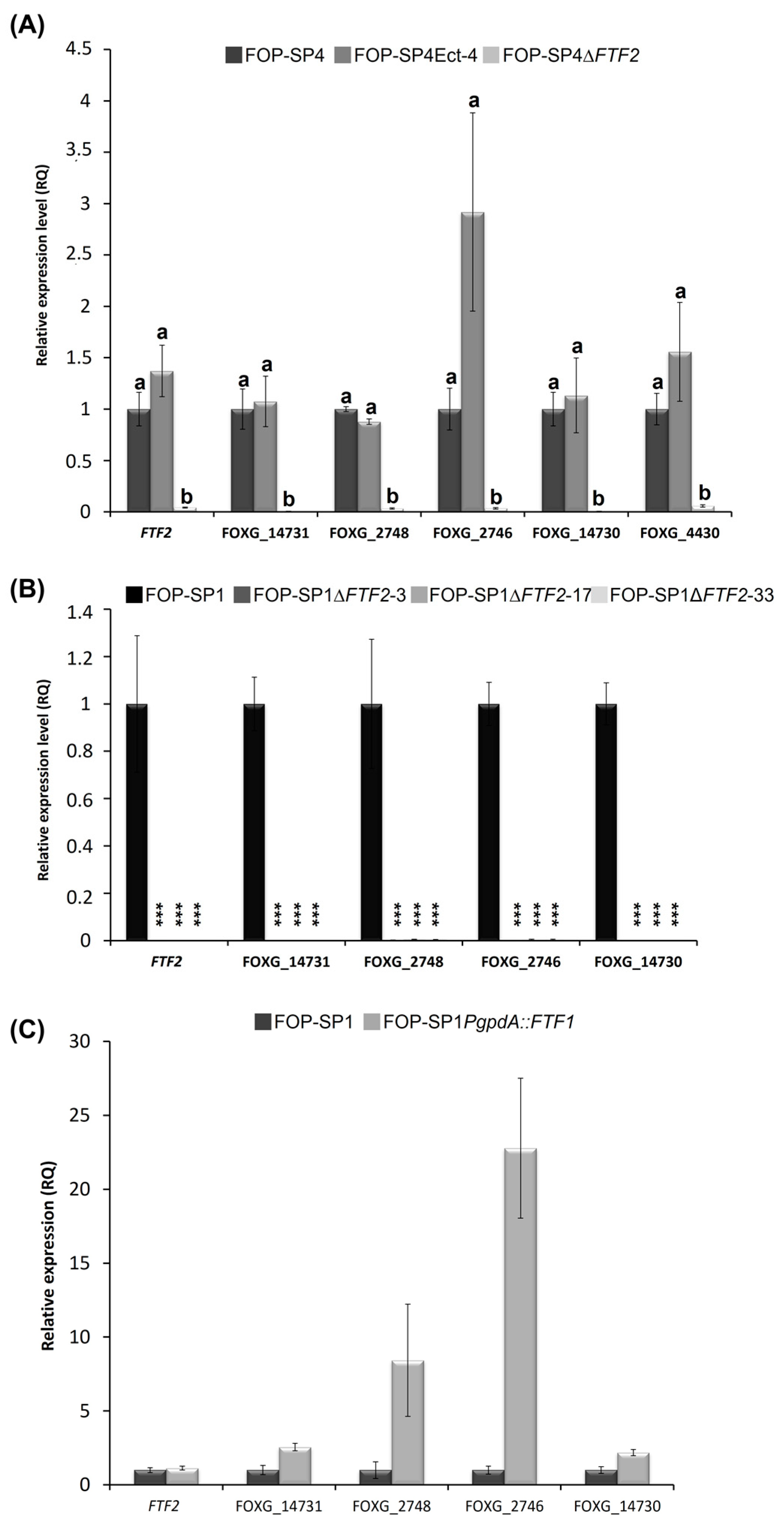 Pathogens 12 00380 g007