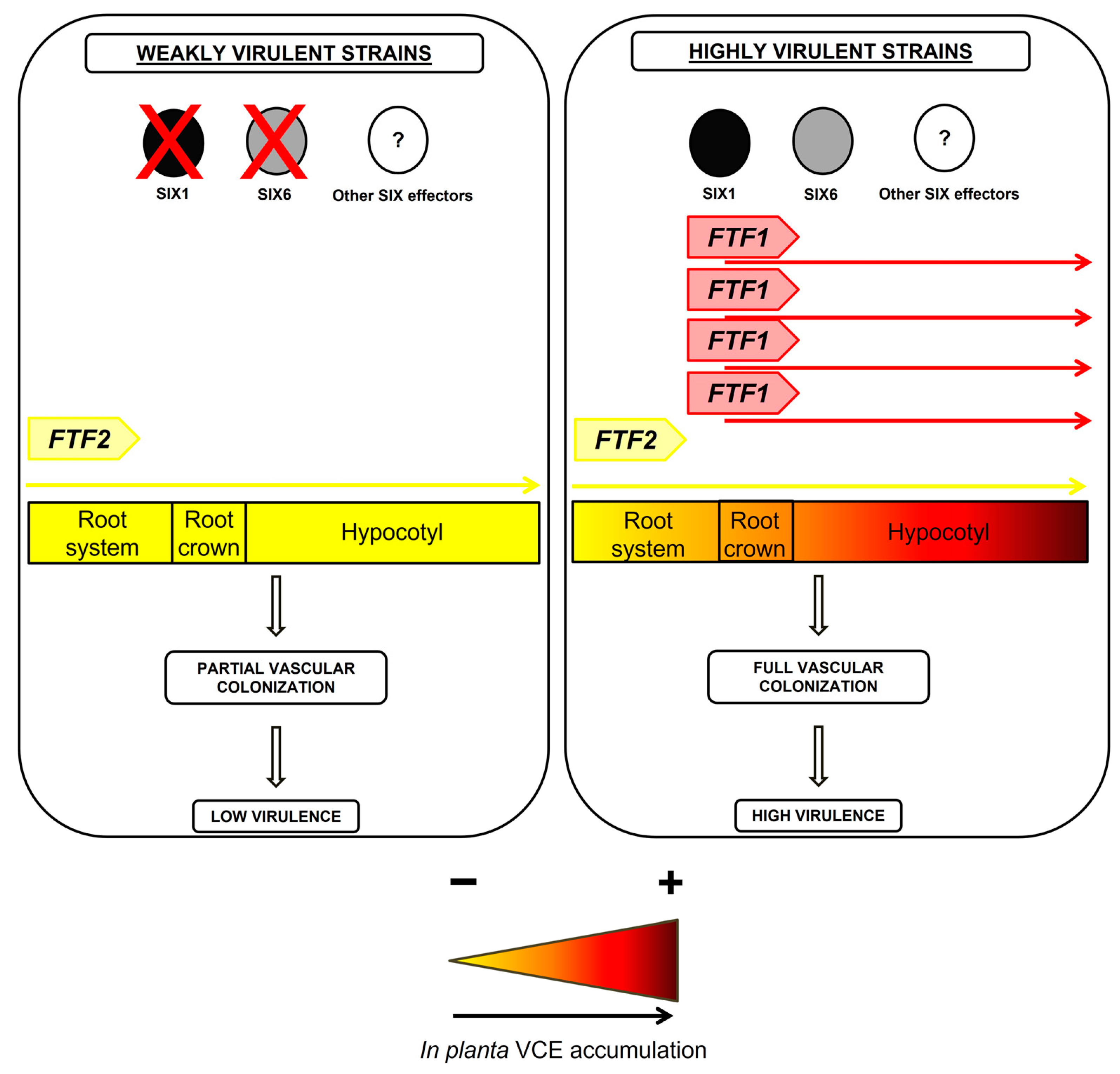 Pathogens 12 00380 g009