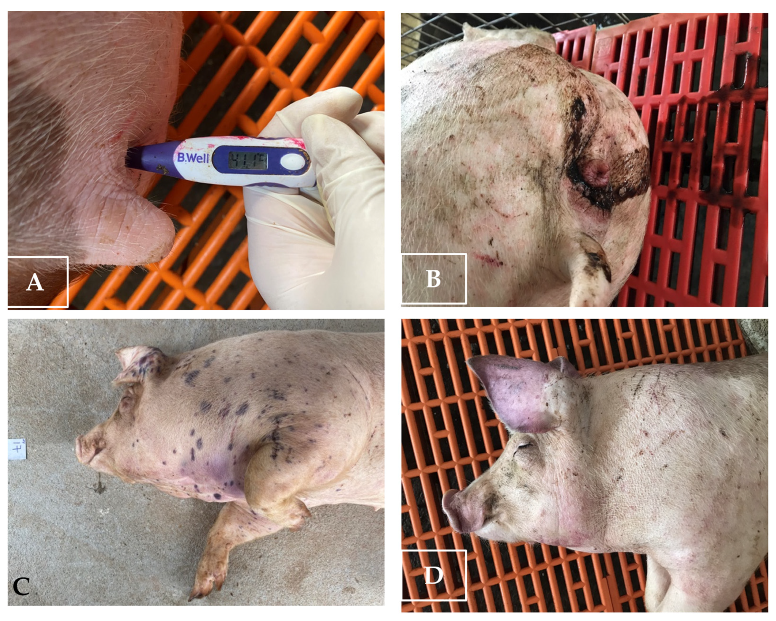 Pathogens 12 00393 g004