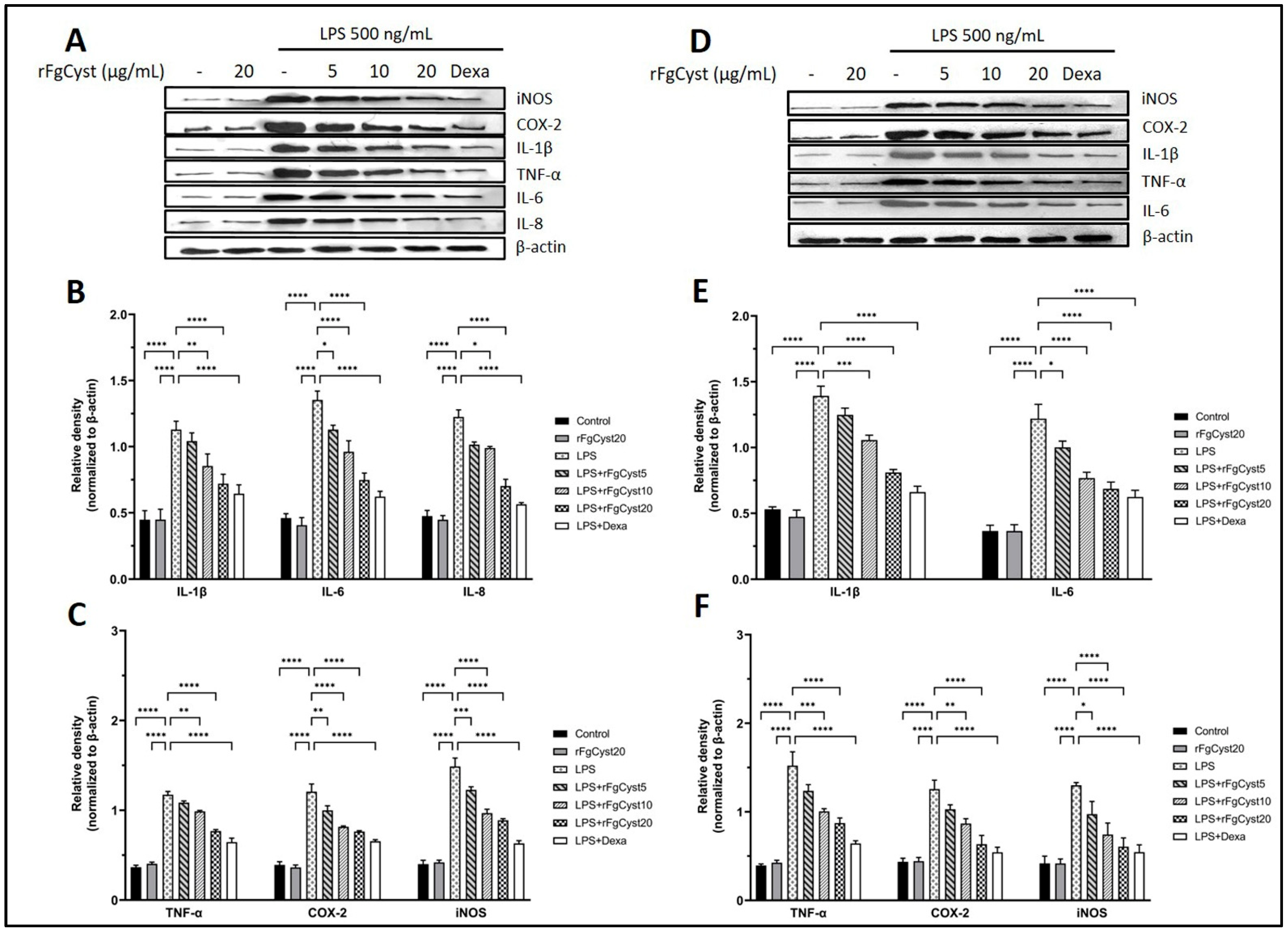 Pathogens 12 00395 g003