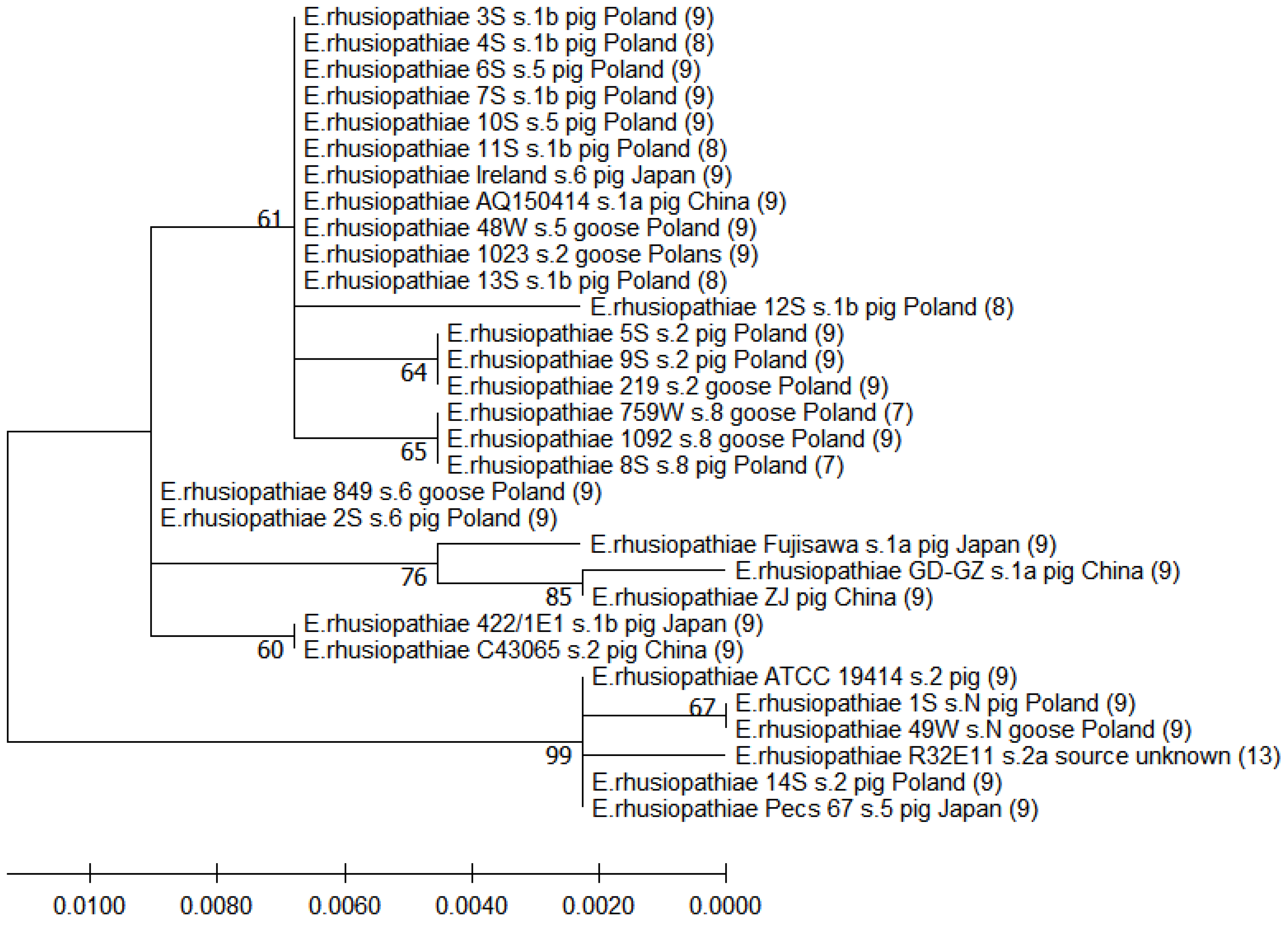 Pathogens 12 00409 g002