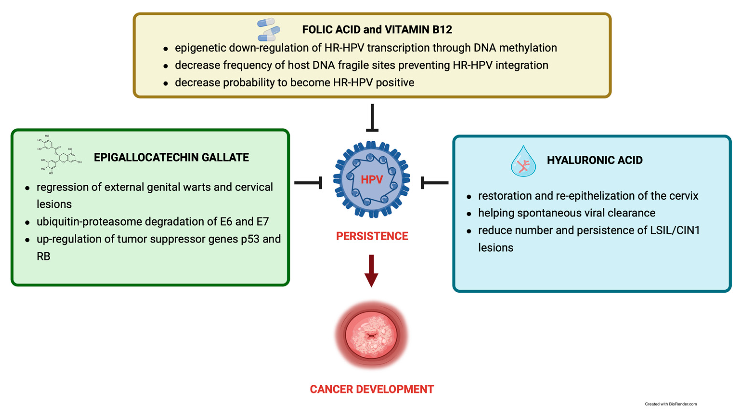 Pathogens 12 00416 g001