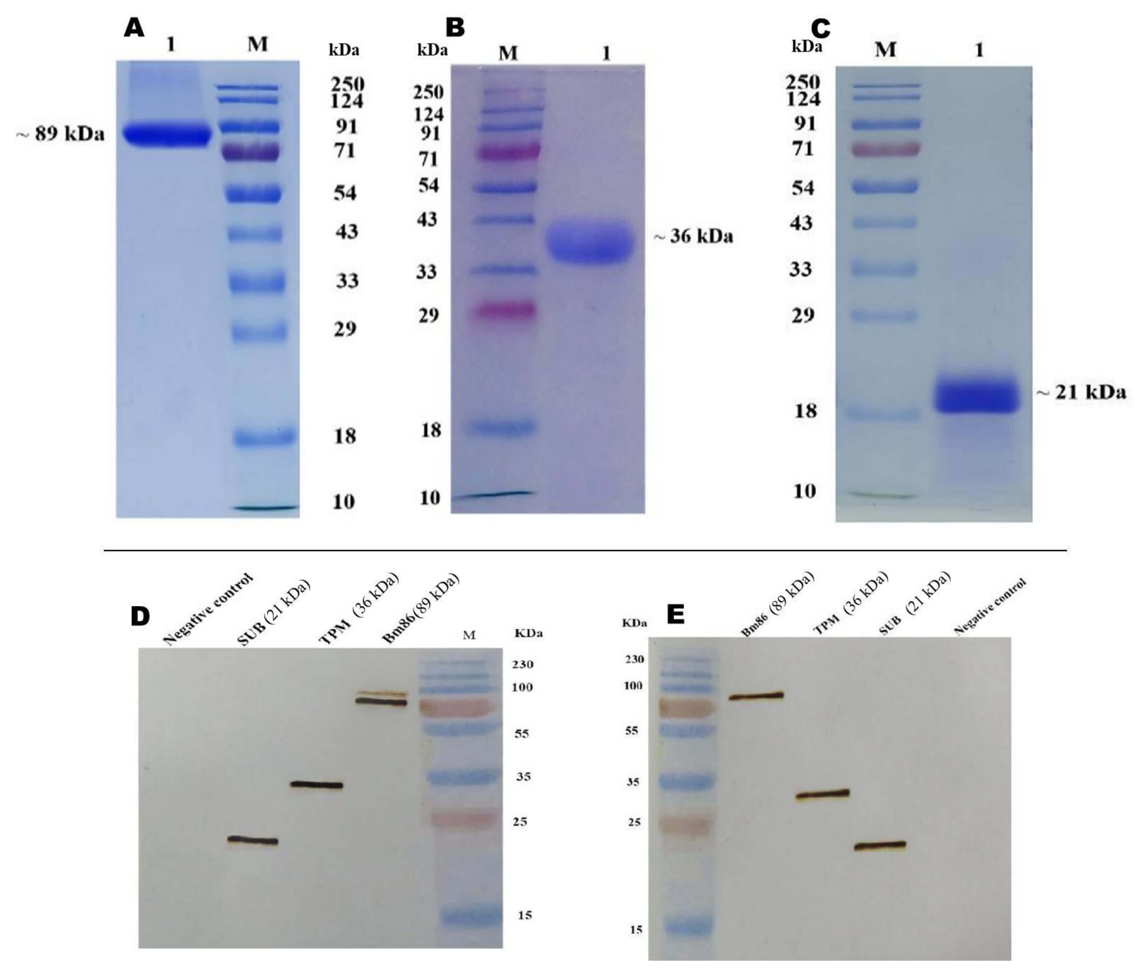 Pathogens 12 00433 g002