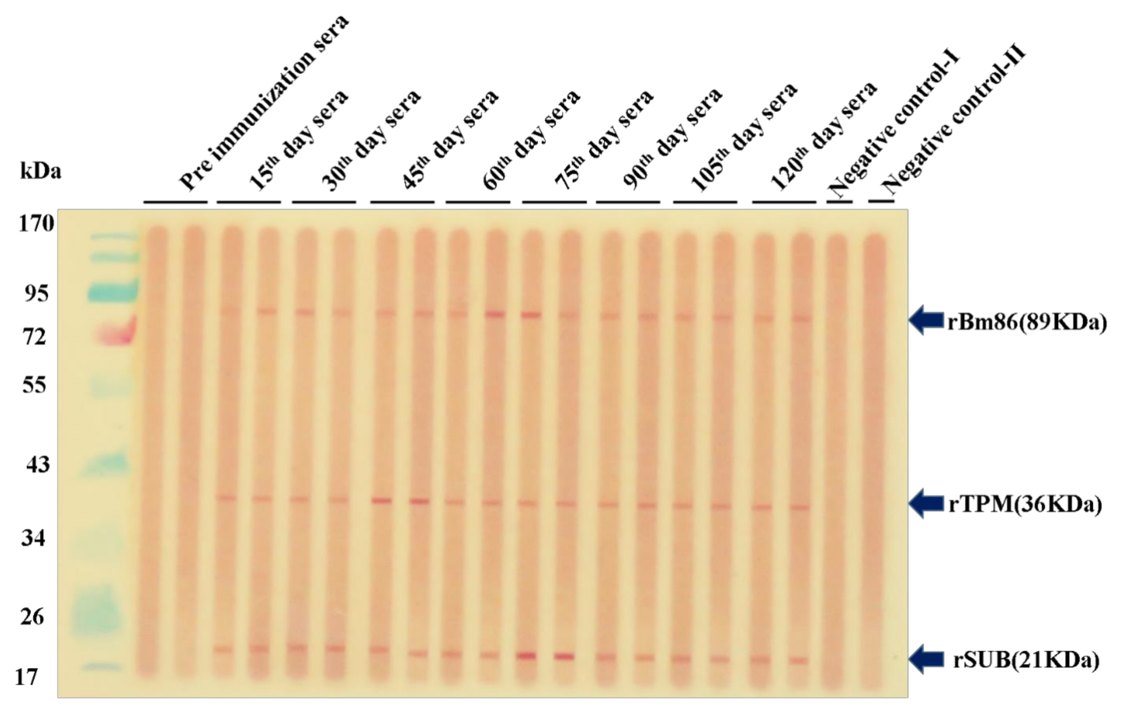 Pathogens 12 00433 g003