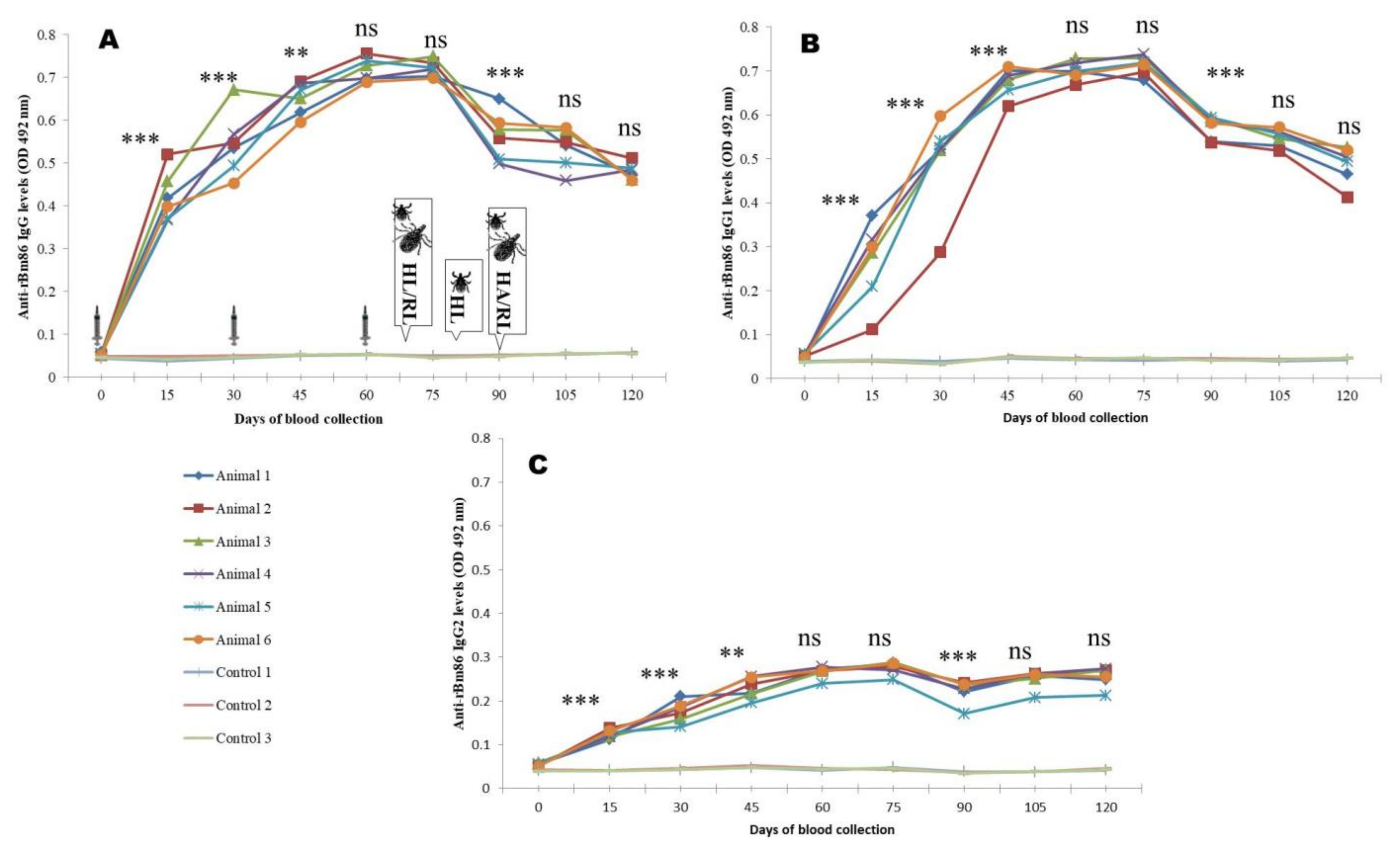 Pathogens 12 00433 g004