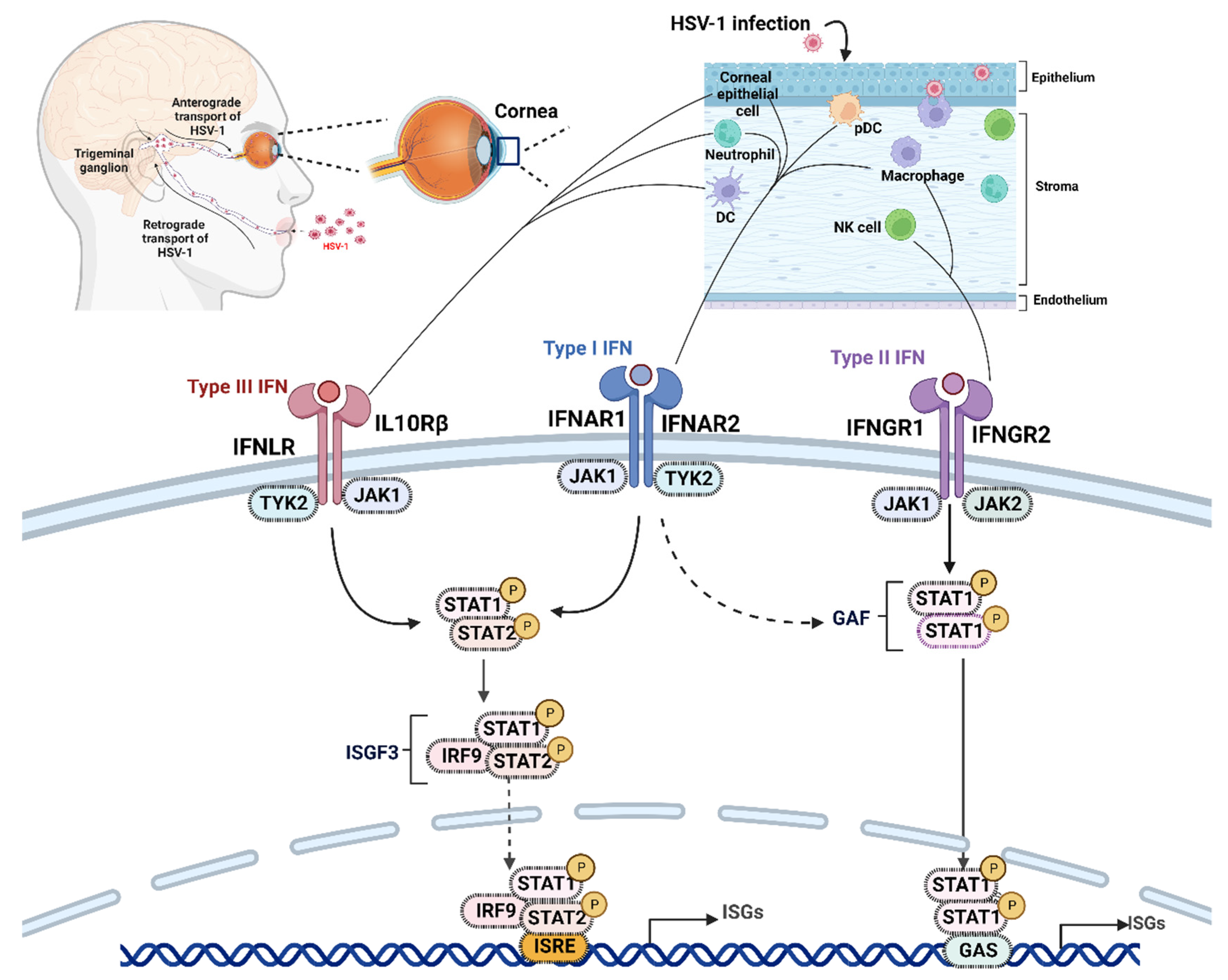 Pathogens 12 00437 g003