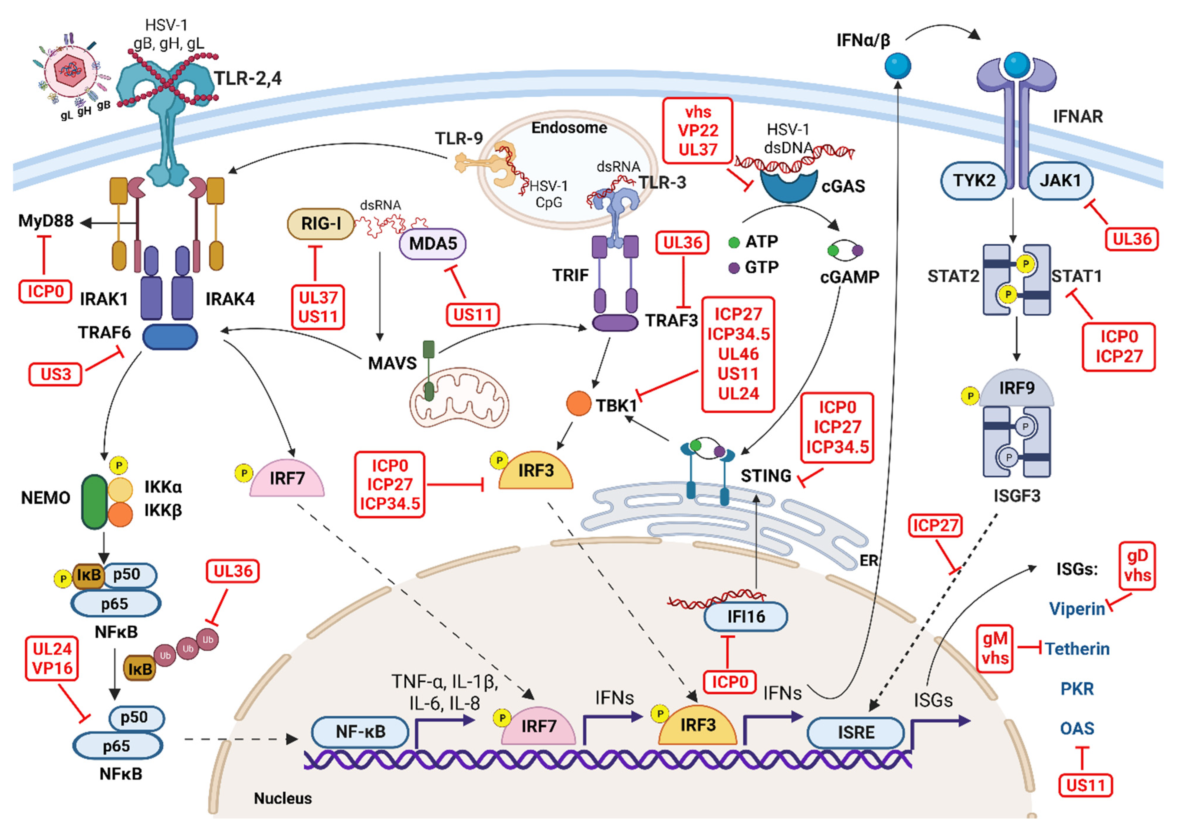 Pathogens 12 00437 g004