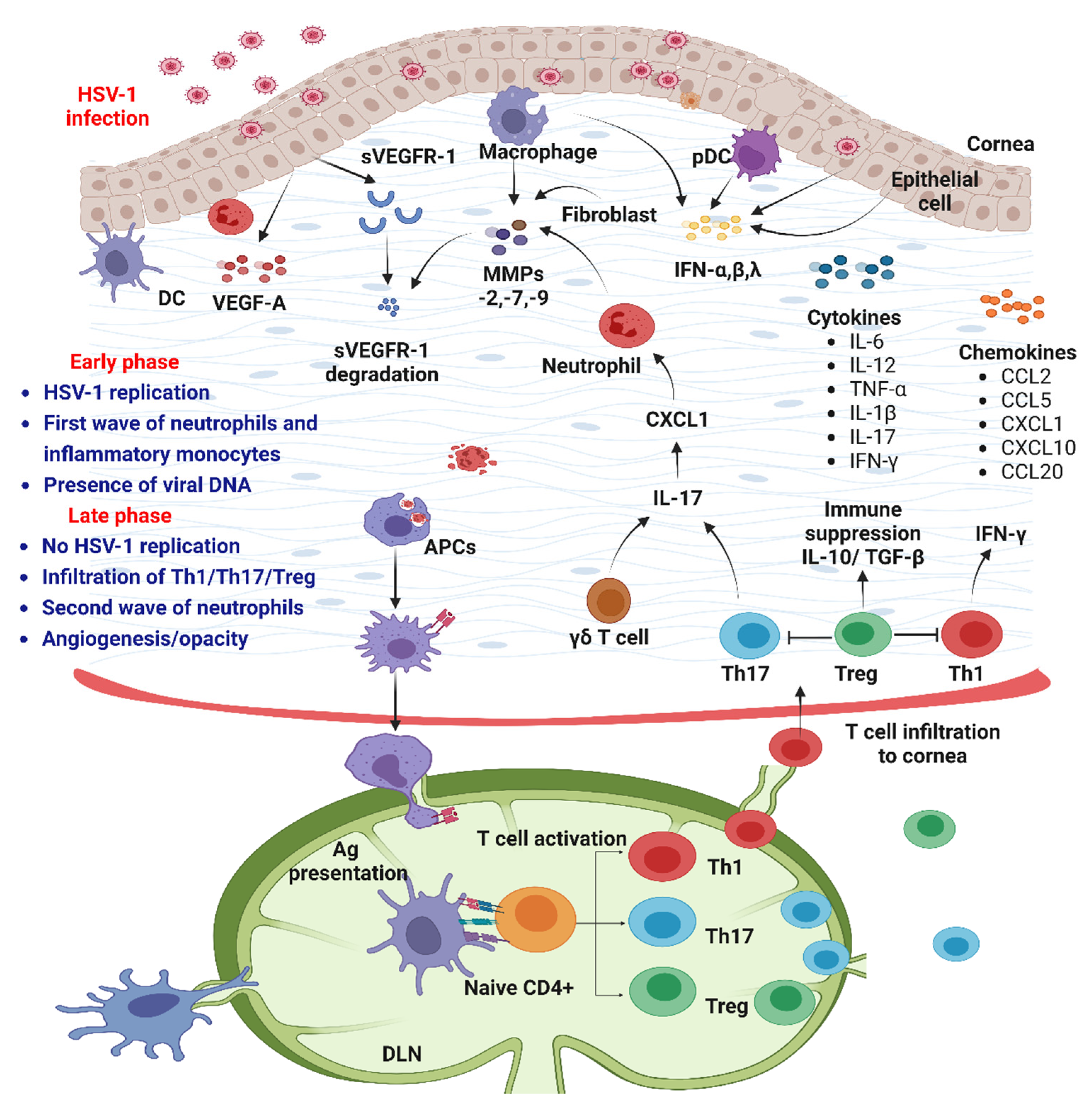 Pathogens 12 00437 g005