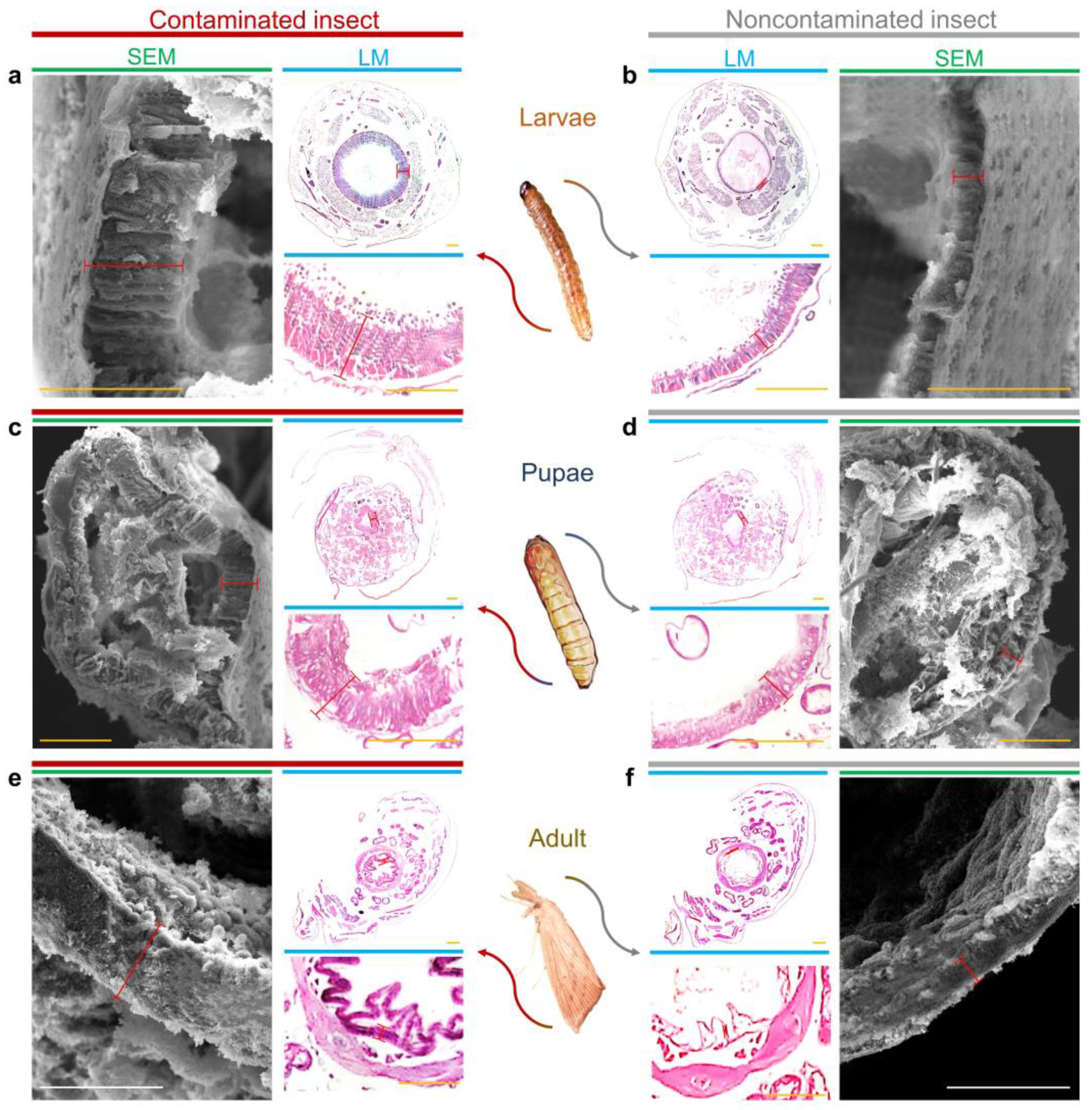 Pathogens 12 00443 g002 Pathogens 12 00443 g002