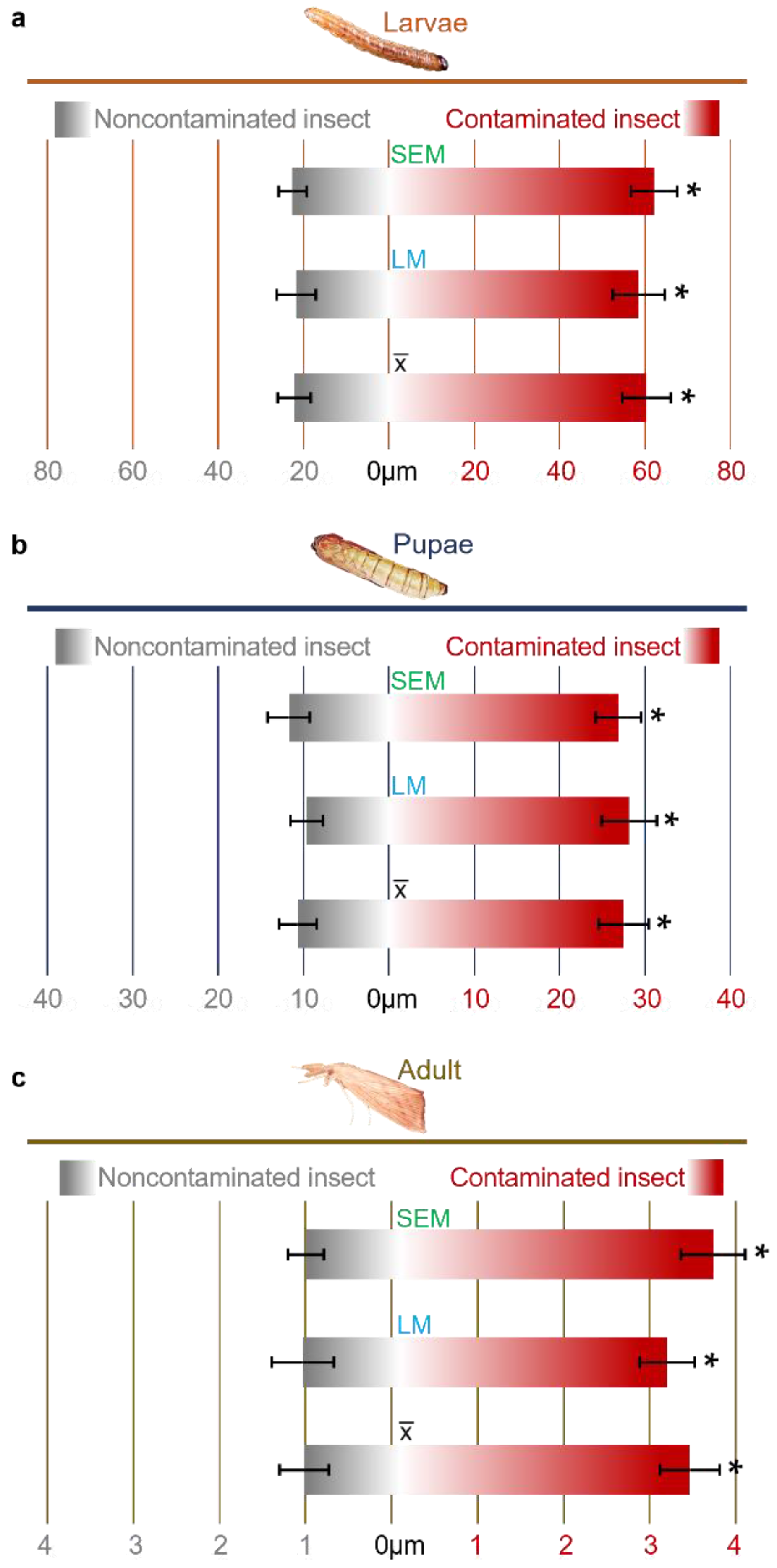 Pathogens 12 00443 g003 Pathogens 12 00443 g003