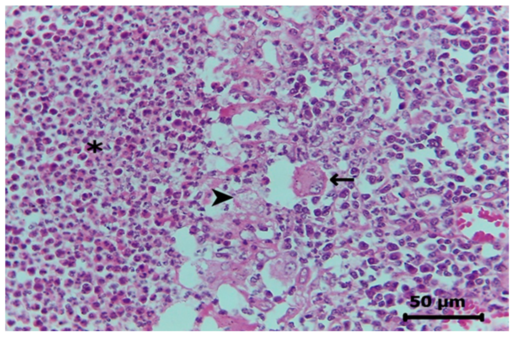 Pathogens 12 00445 g002 Pathogens 12 00445 g002