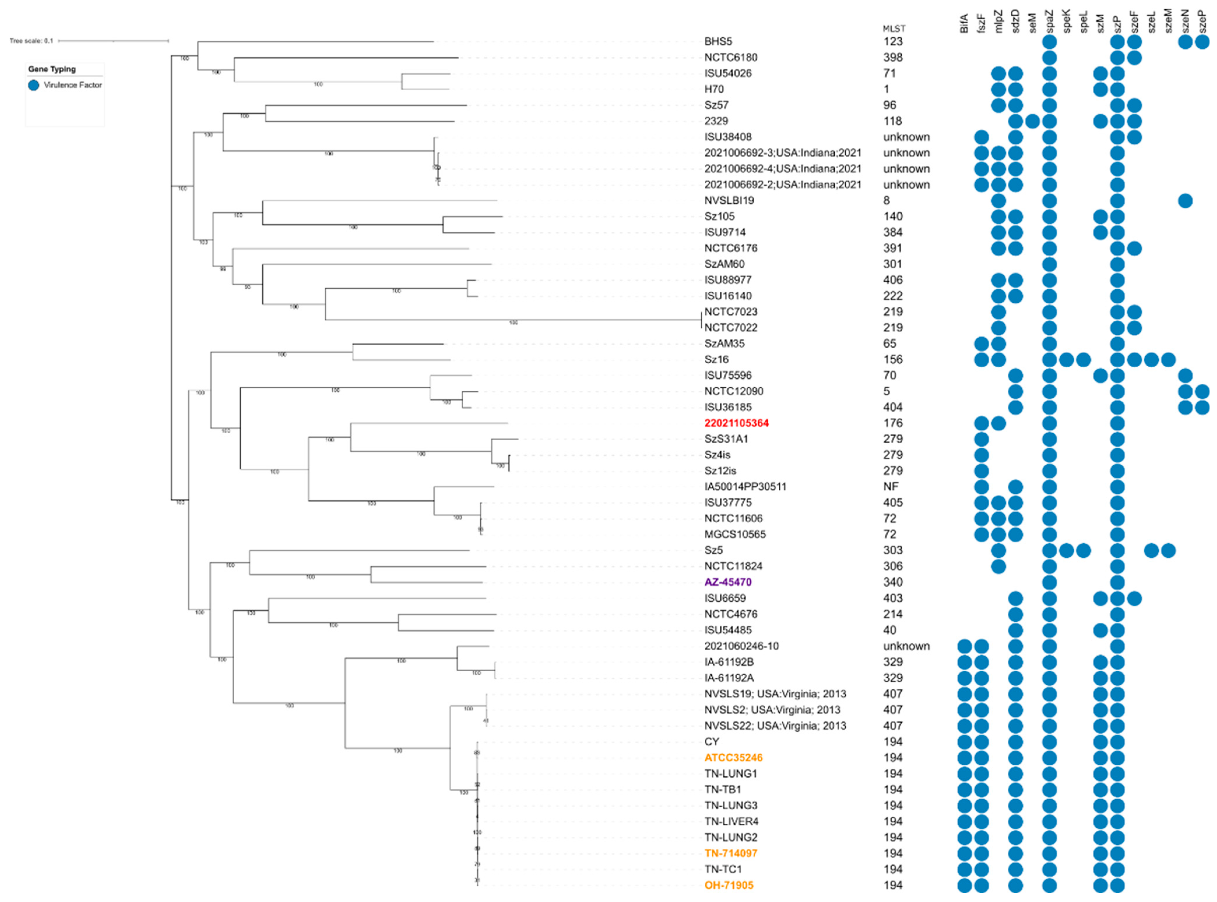 Pathogens 12 00445 g003 Pathogens 12 00445 g003