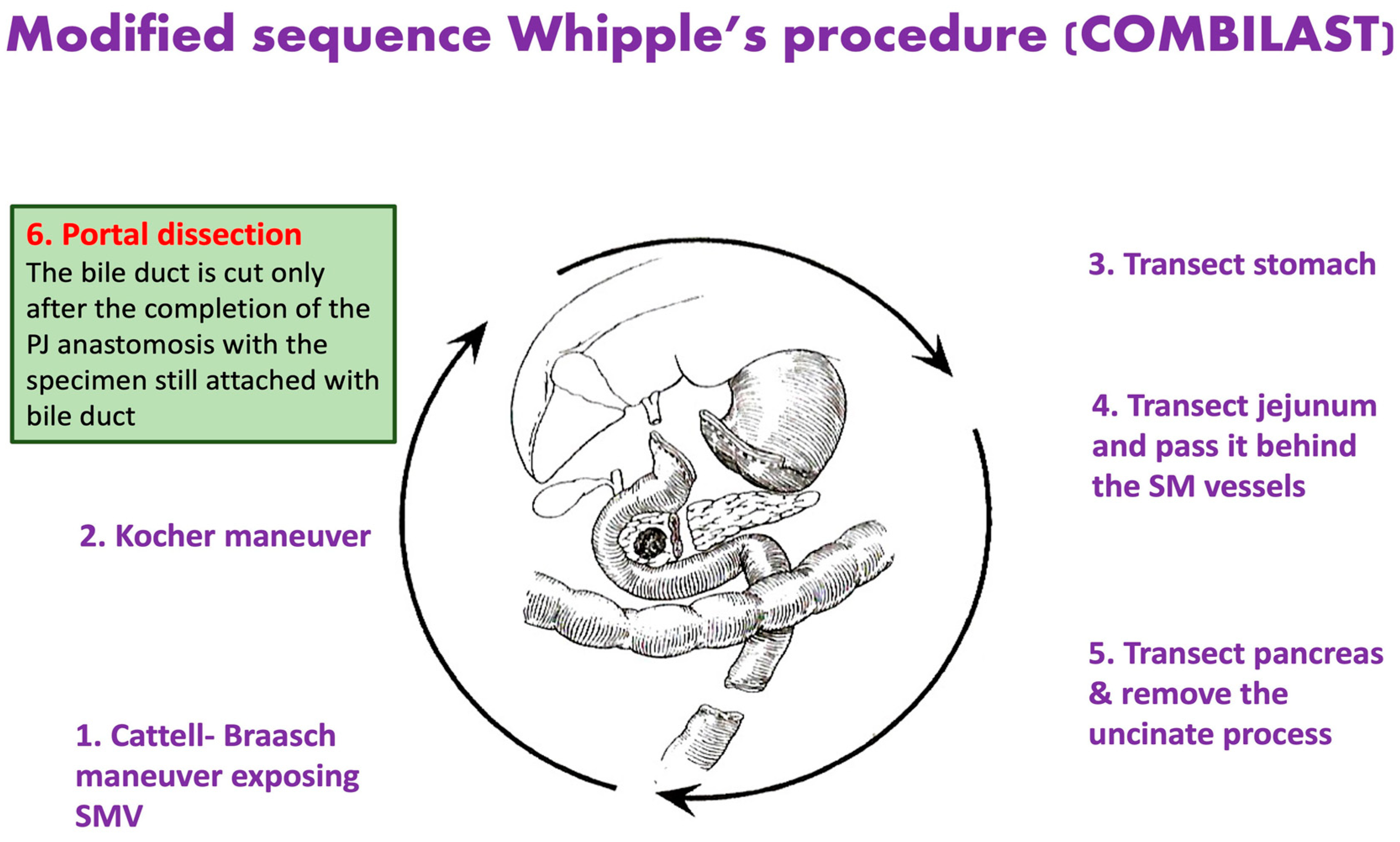Pathogens 12 00448 g001
