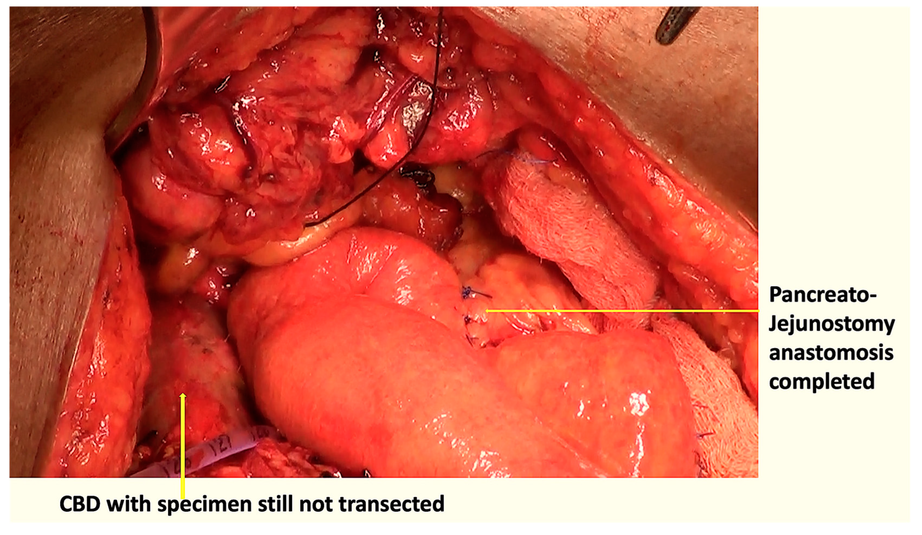 Pathogens 12 00448 g003