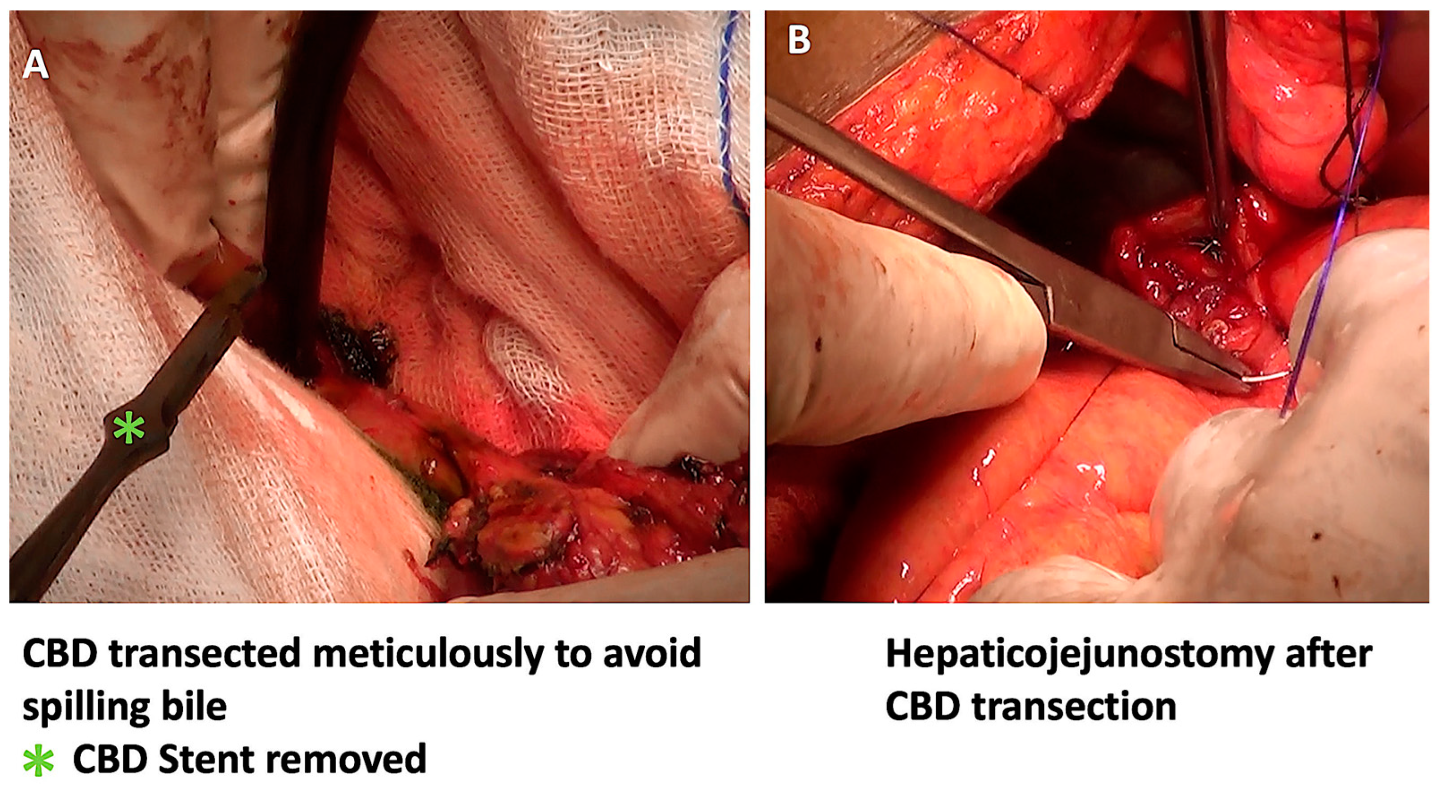 Pathogens 12 00448 g004