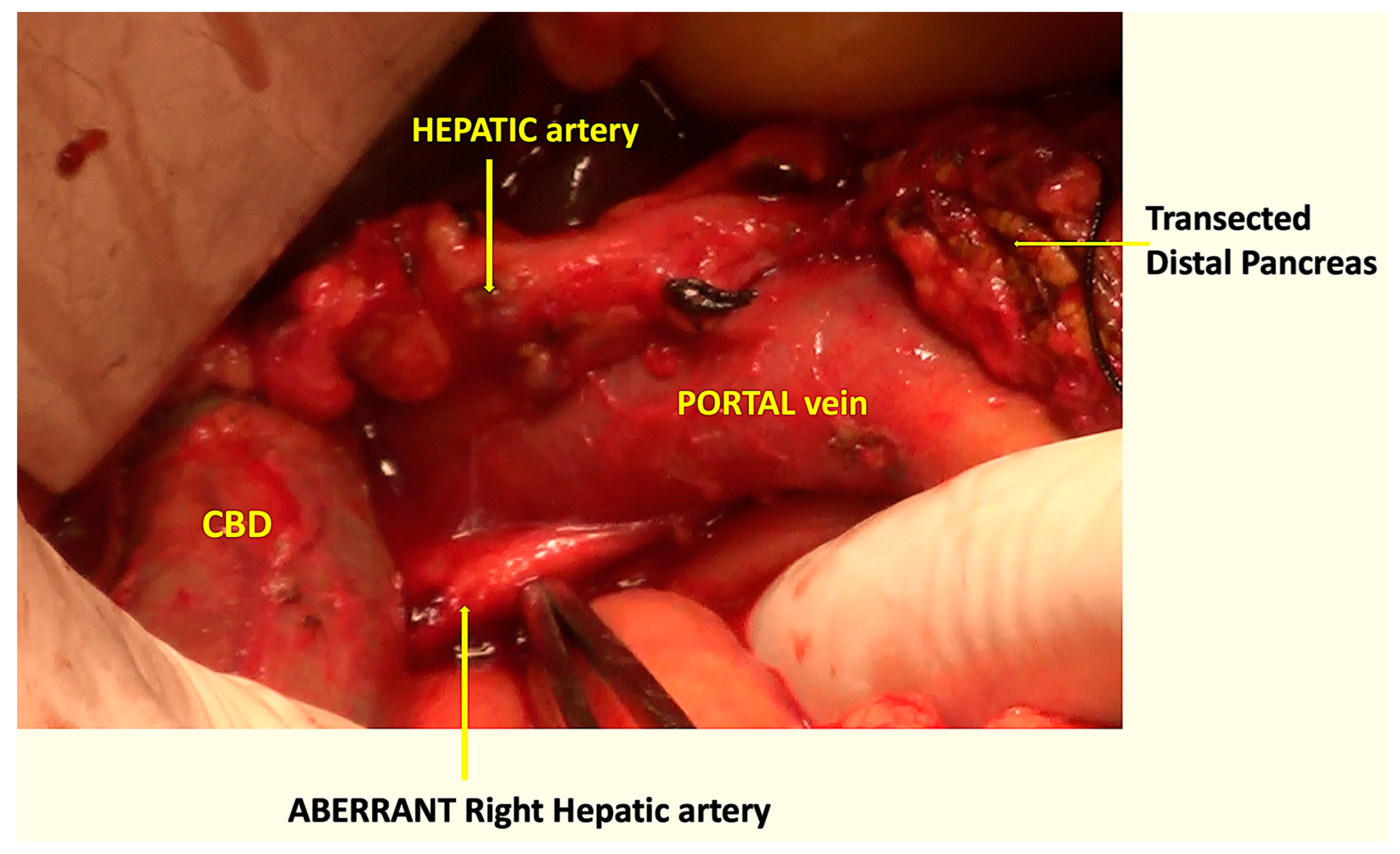 Pathogens 12 00448 g009